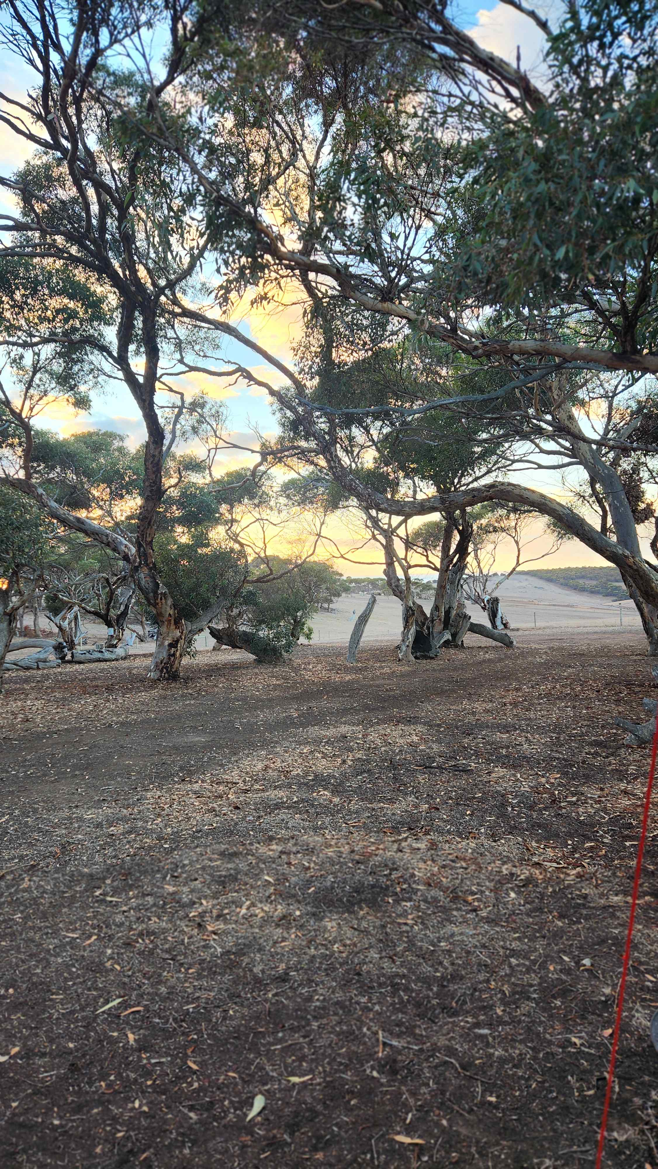 Parrara View