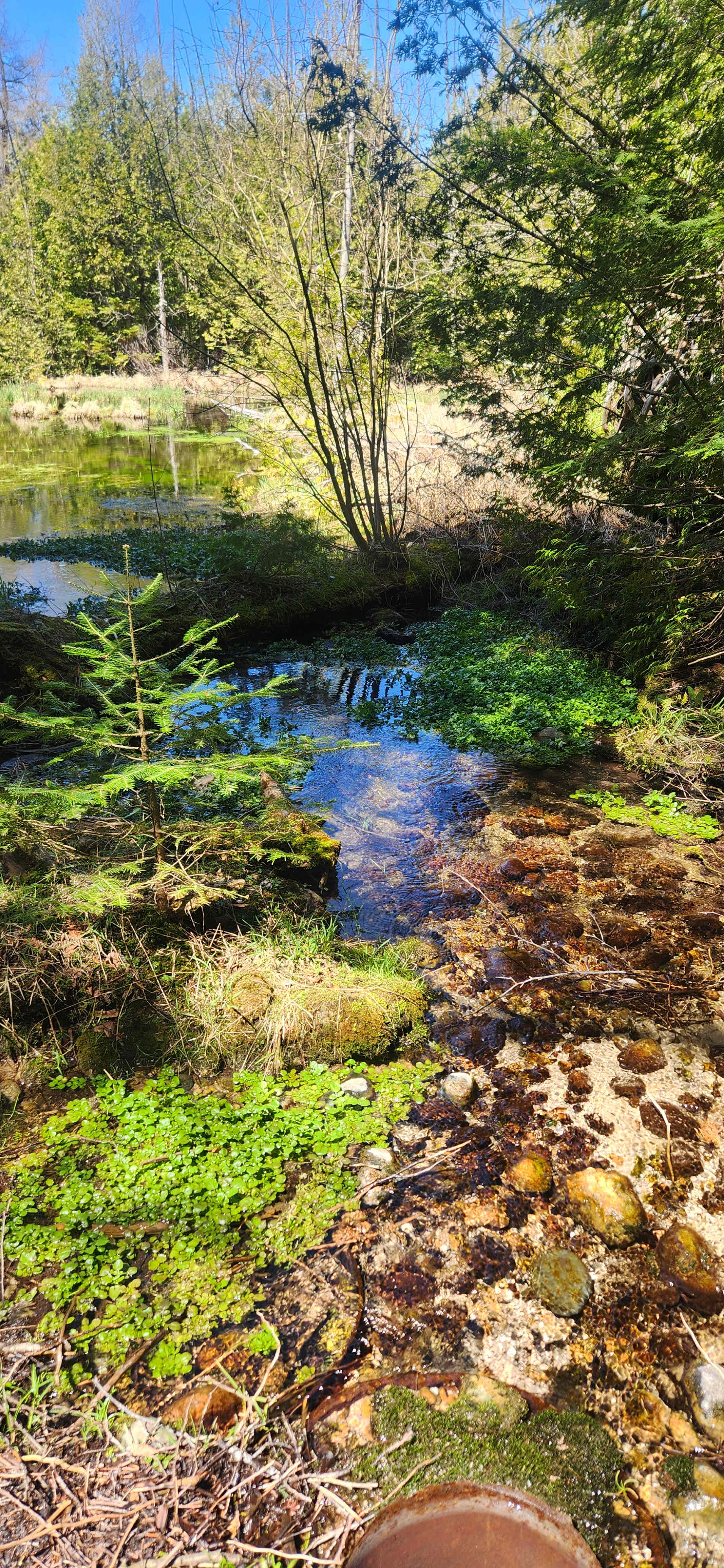 Edges Sideroad Springs