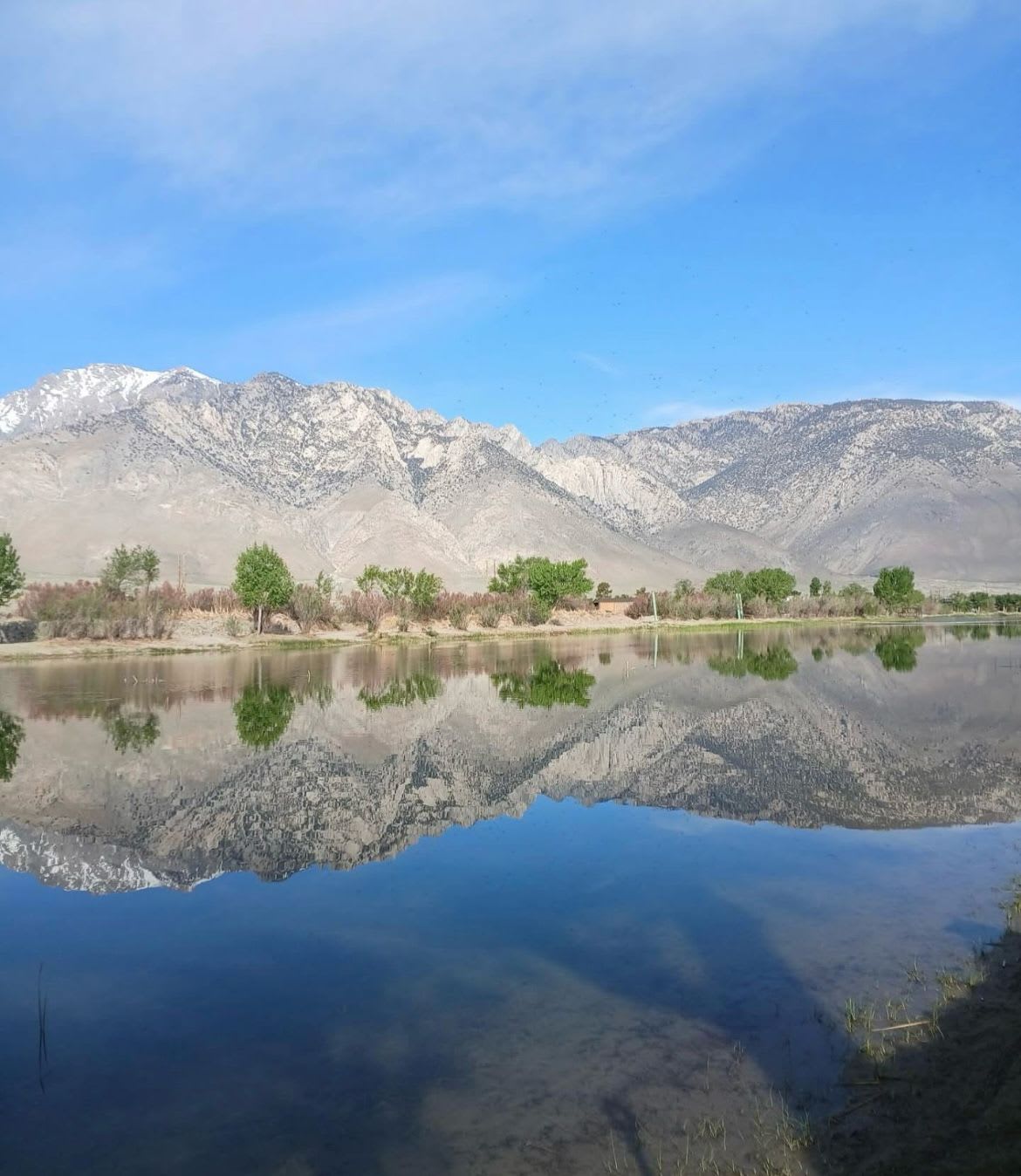 Lake Olancha RV Park and Campground