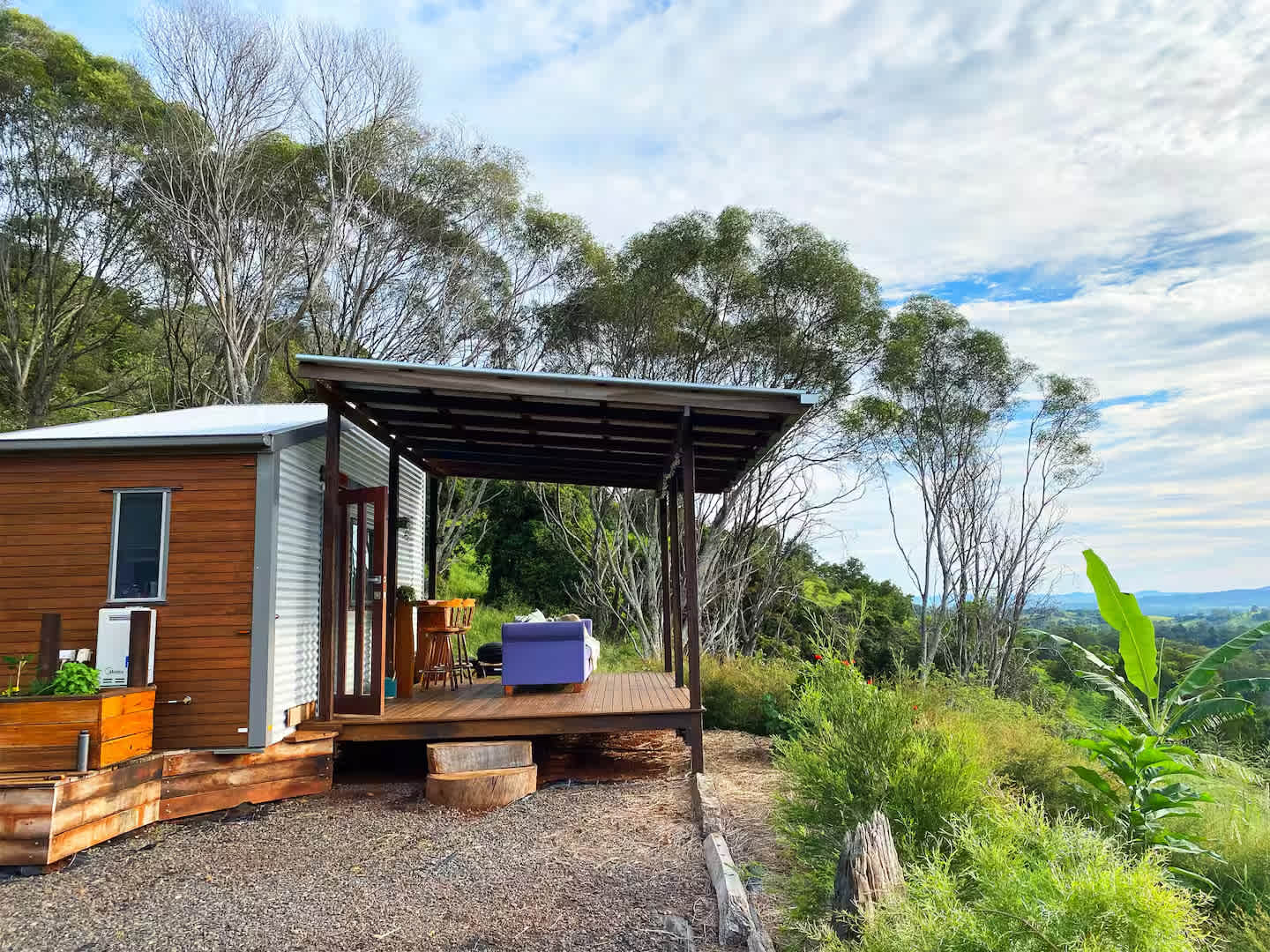 The Avocado Tree Farm