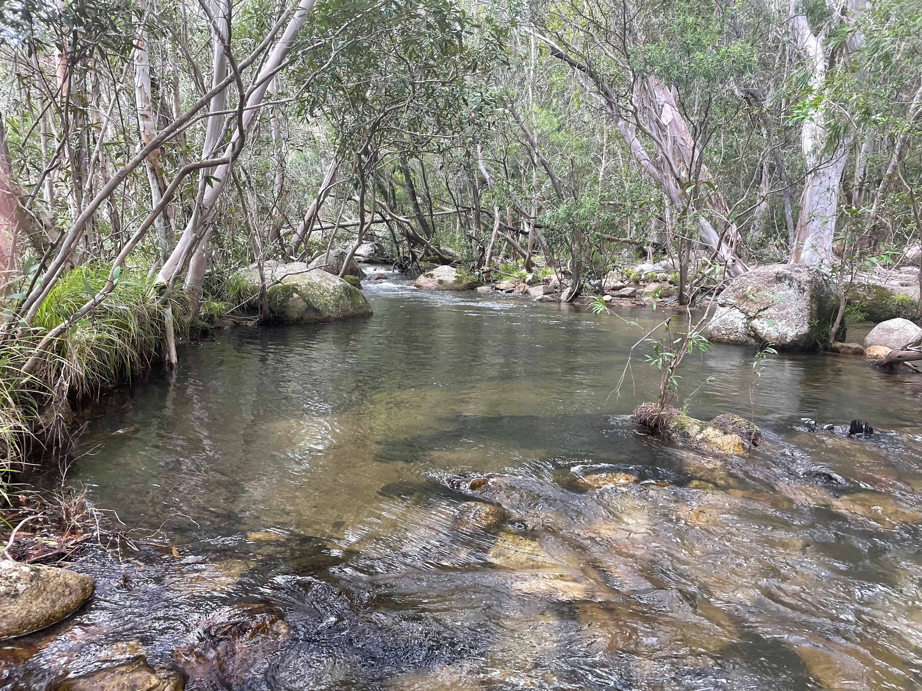 Emerald Escape Camping