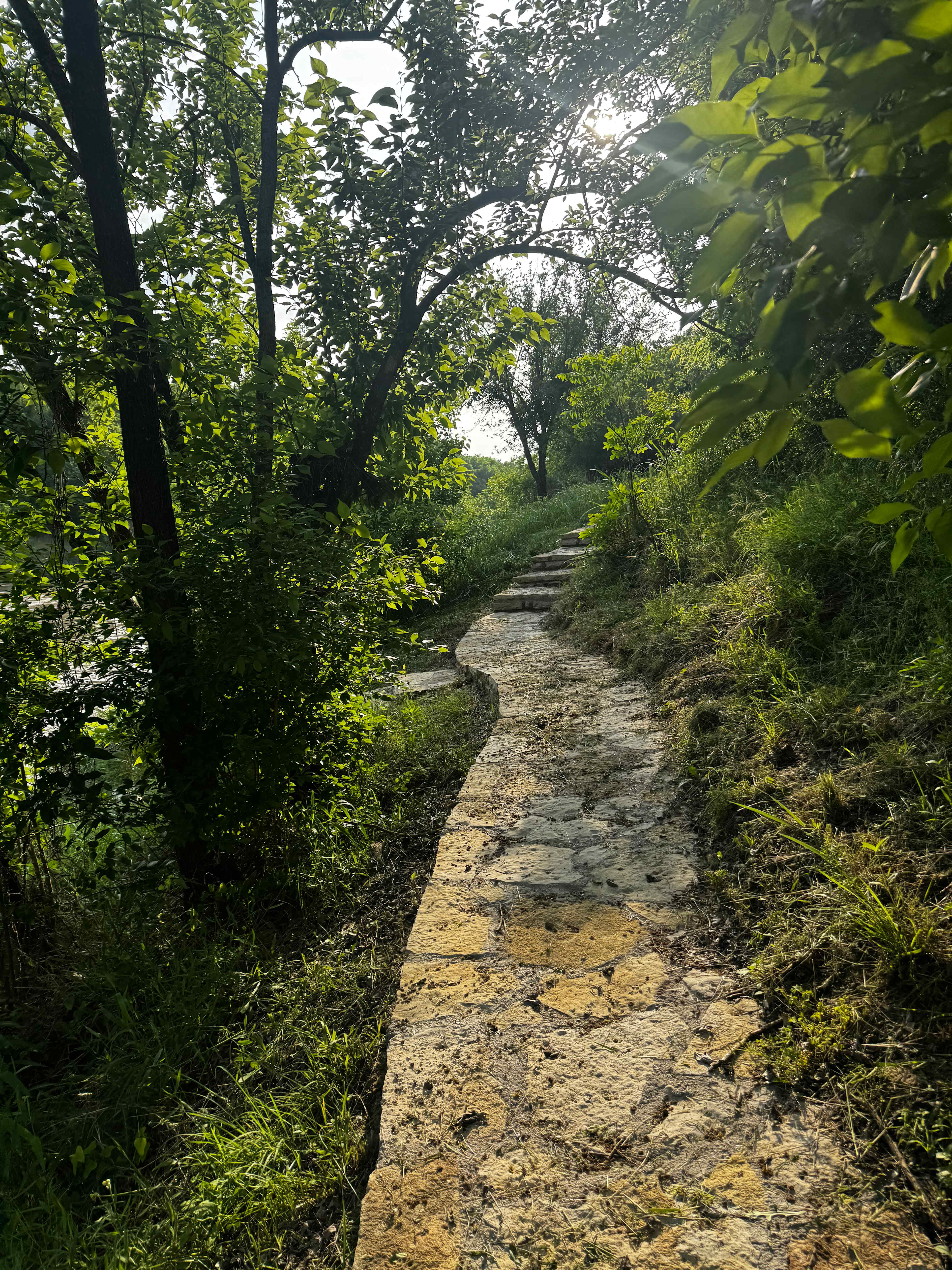 Pathway to site 2