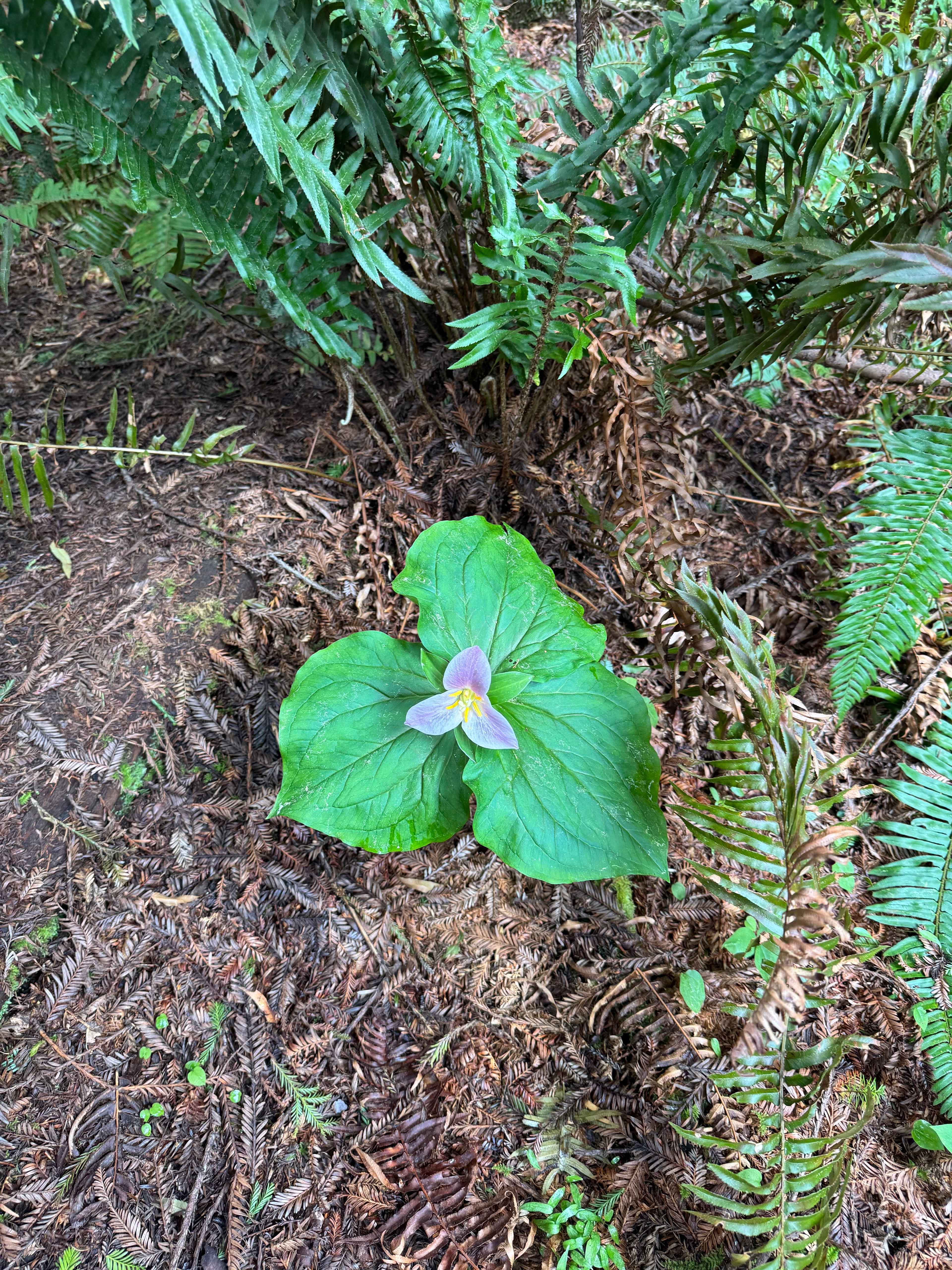 Baby Banana Slug Farm