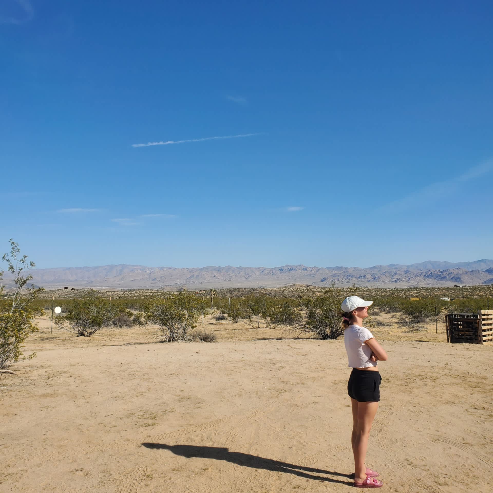 Cassie’s Candlelight Campsite