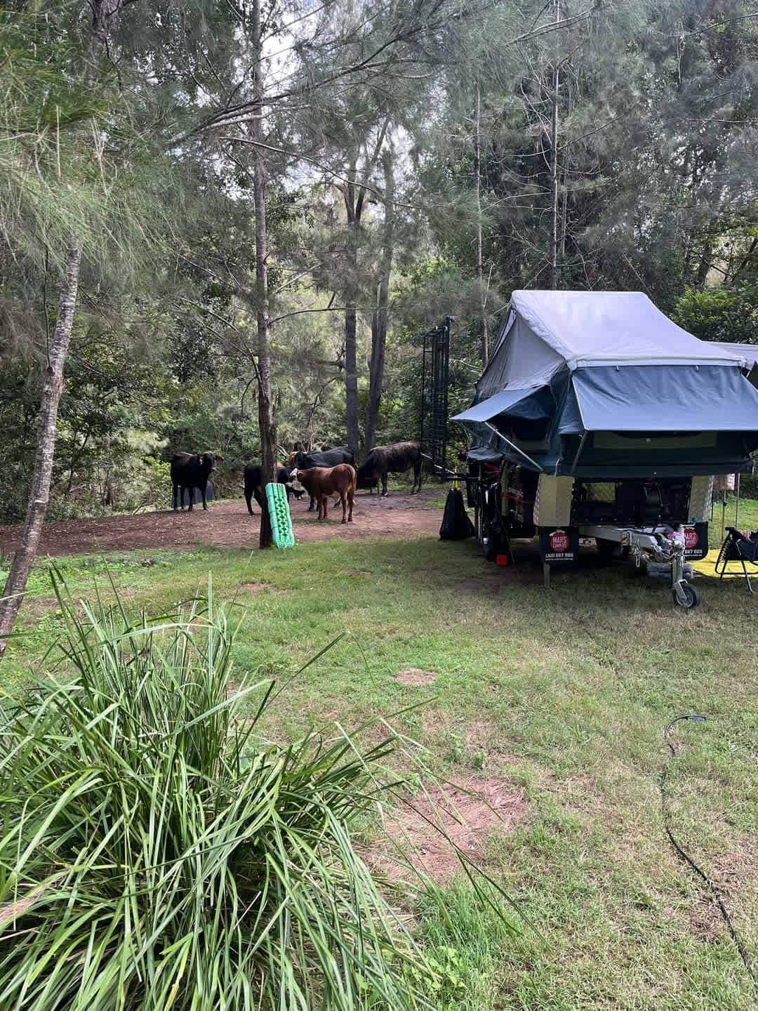 Christmas Creek Cedar Cabin & Camp