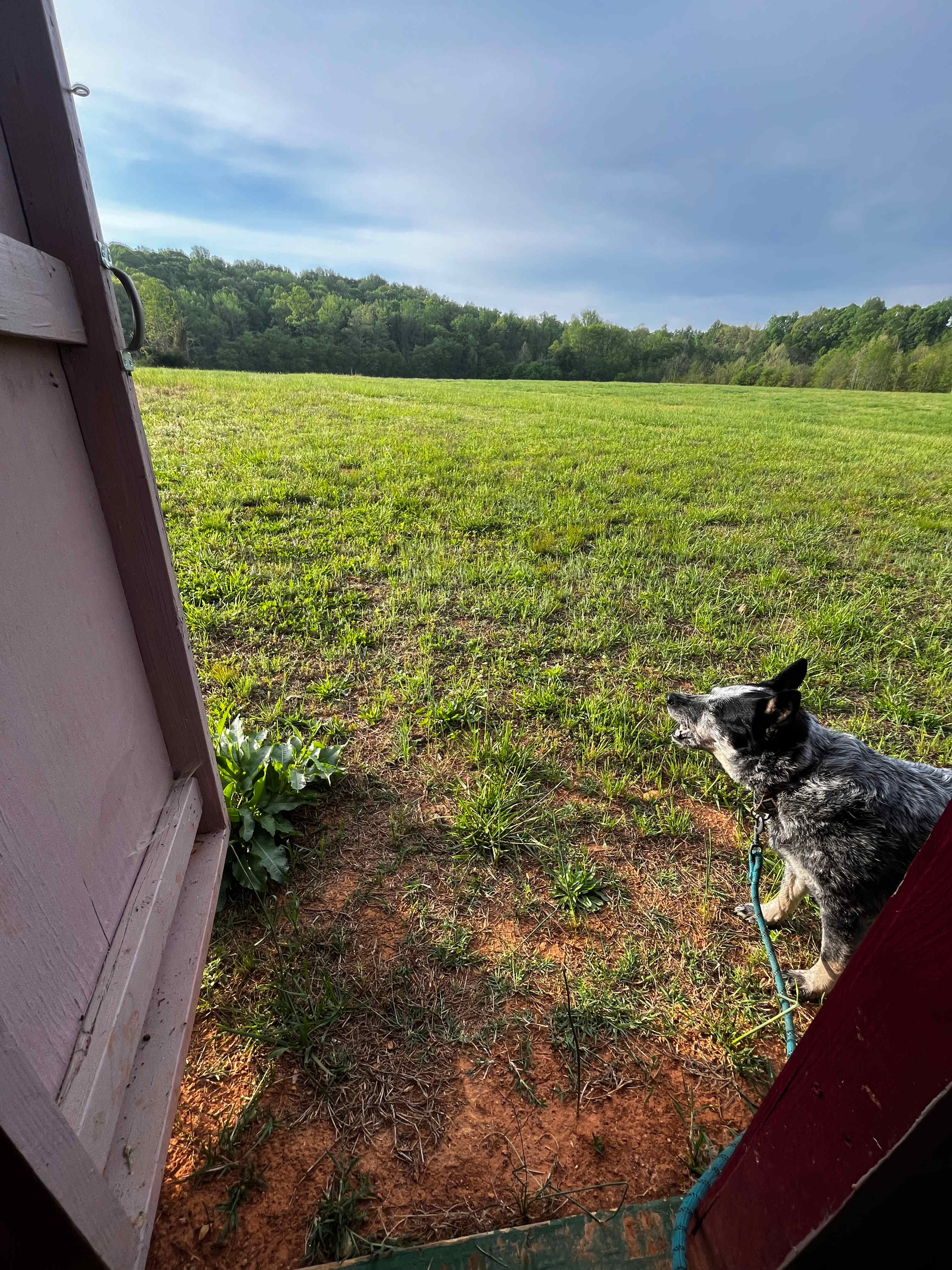 Honah Lee Farms
