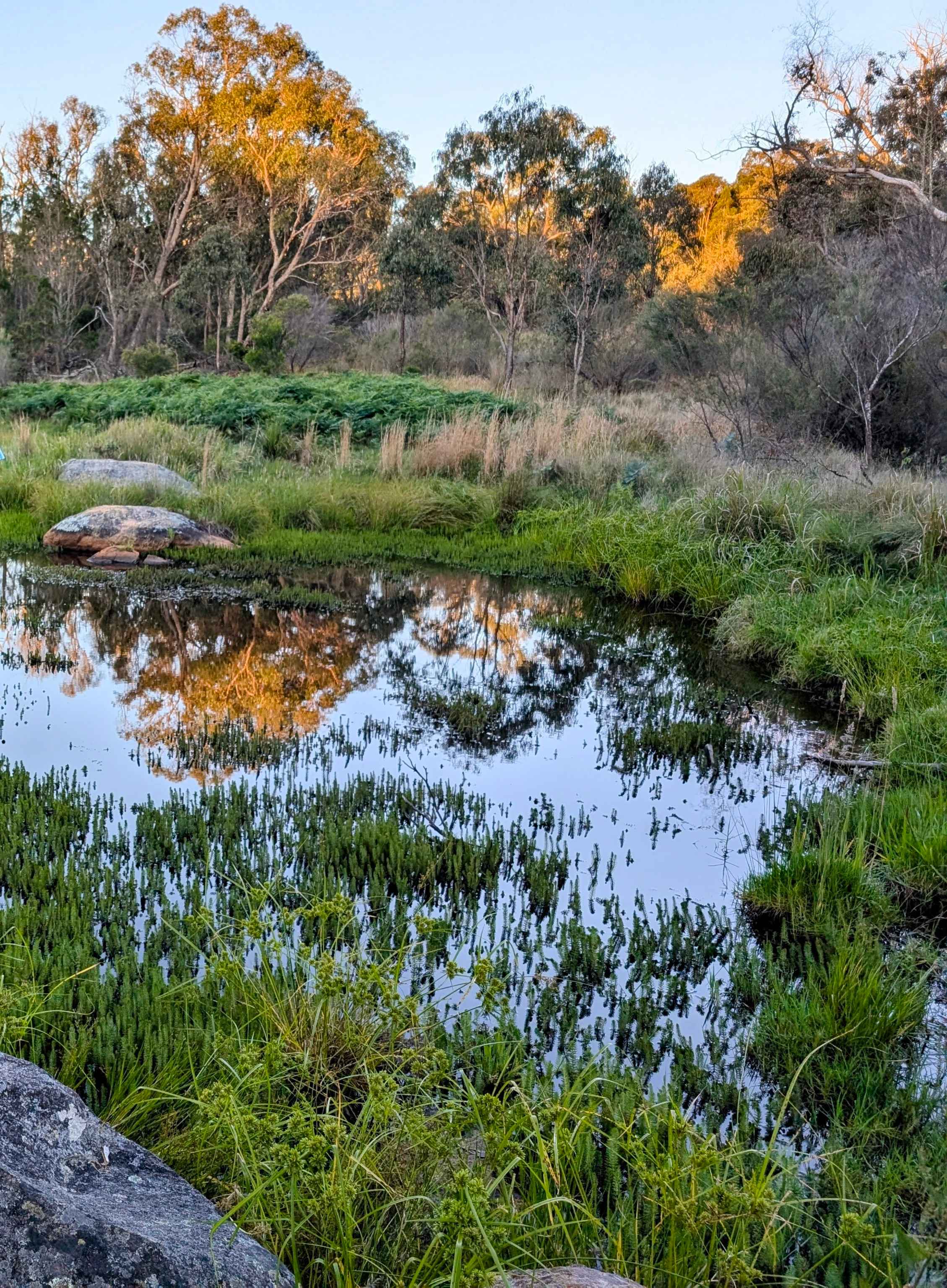 Donnelly's Keep @ Donnellys Castle