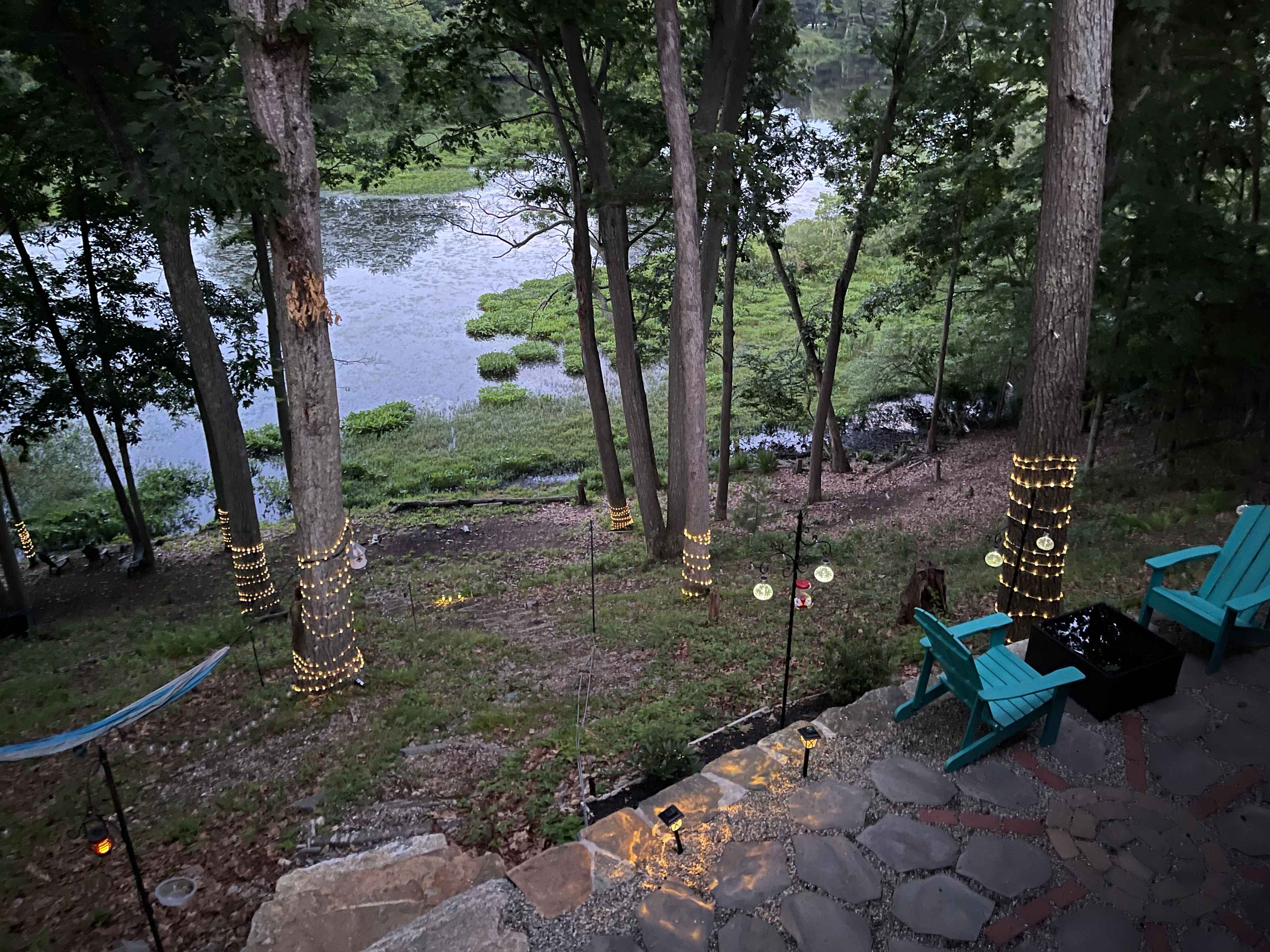 Inlaw Apt @ River w/ Swans, Eagles