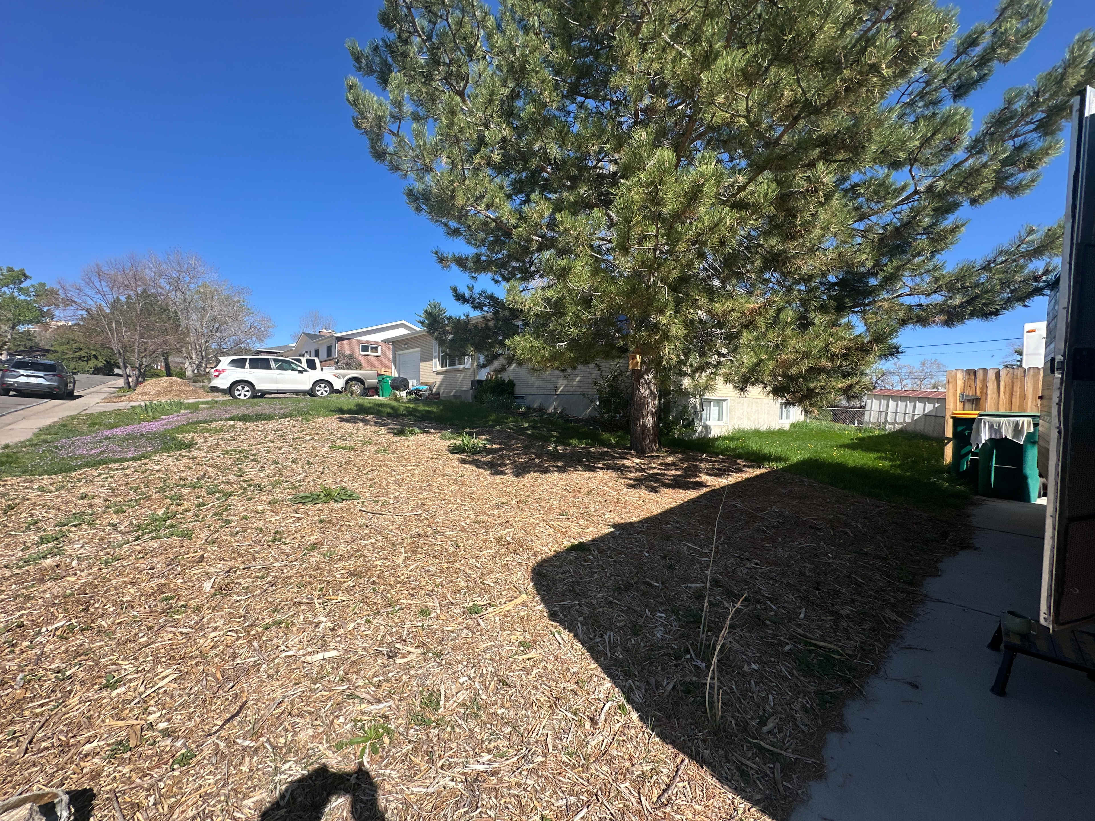 Great shade and tree to walk out to when we got up! 