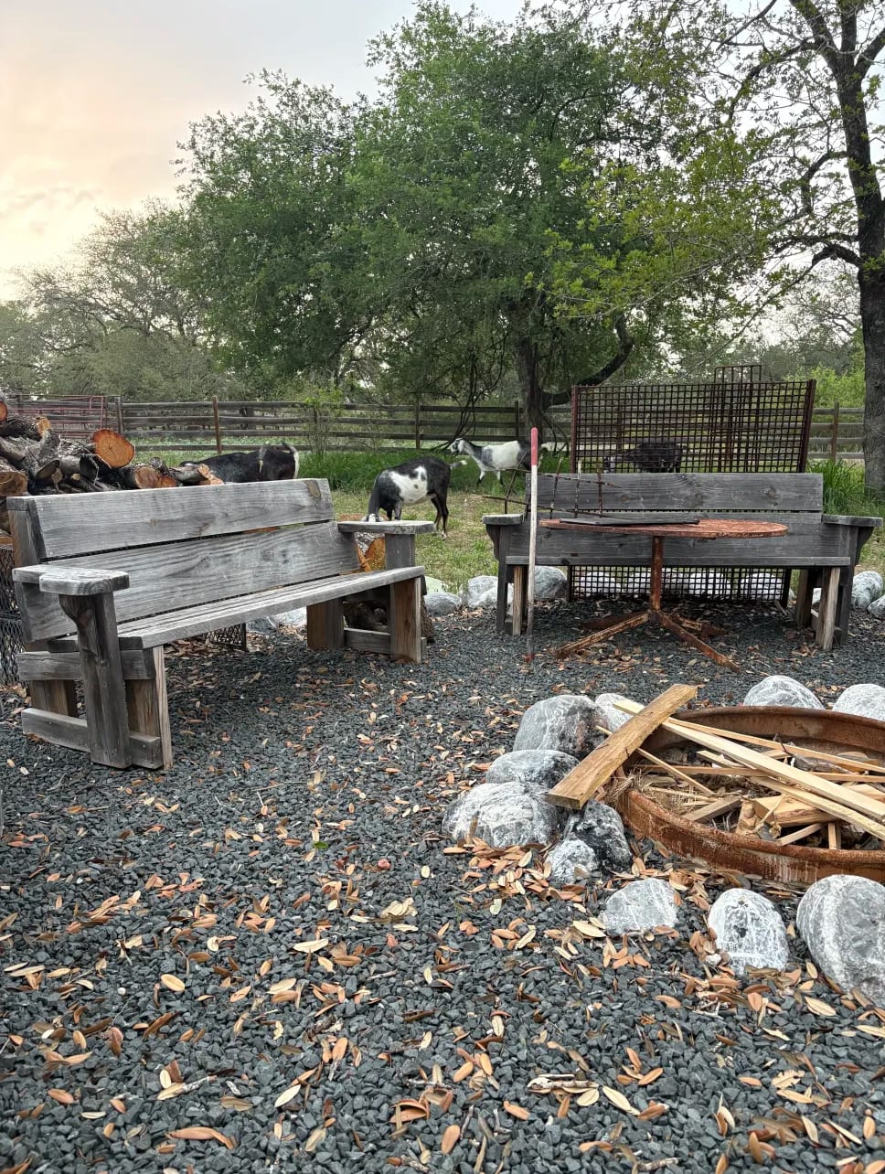 Campfire area 