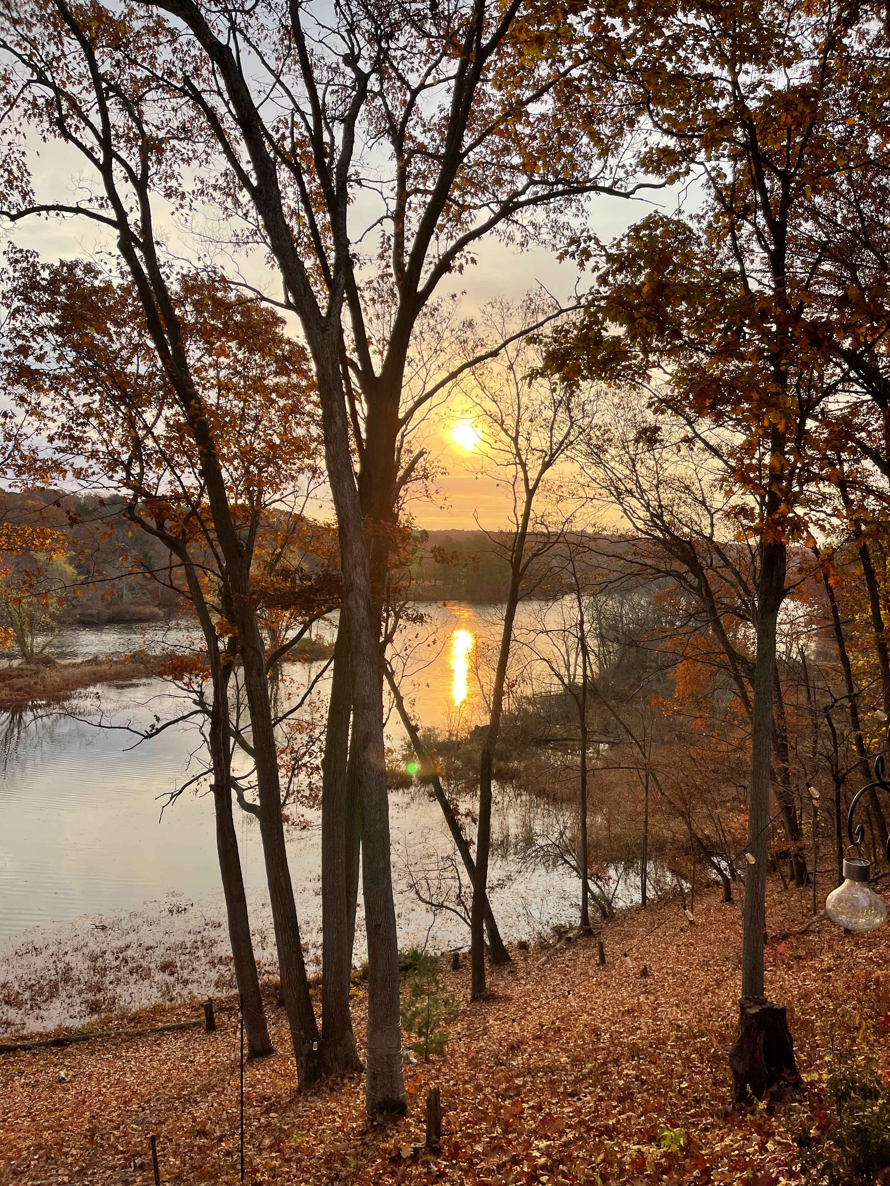 View of the morning river from the patio 