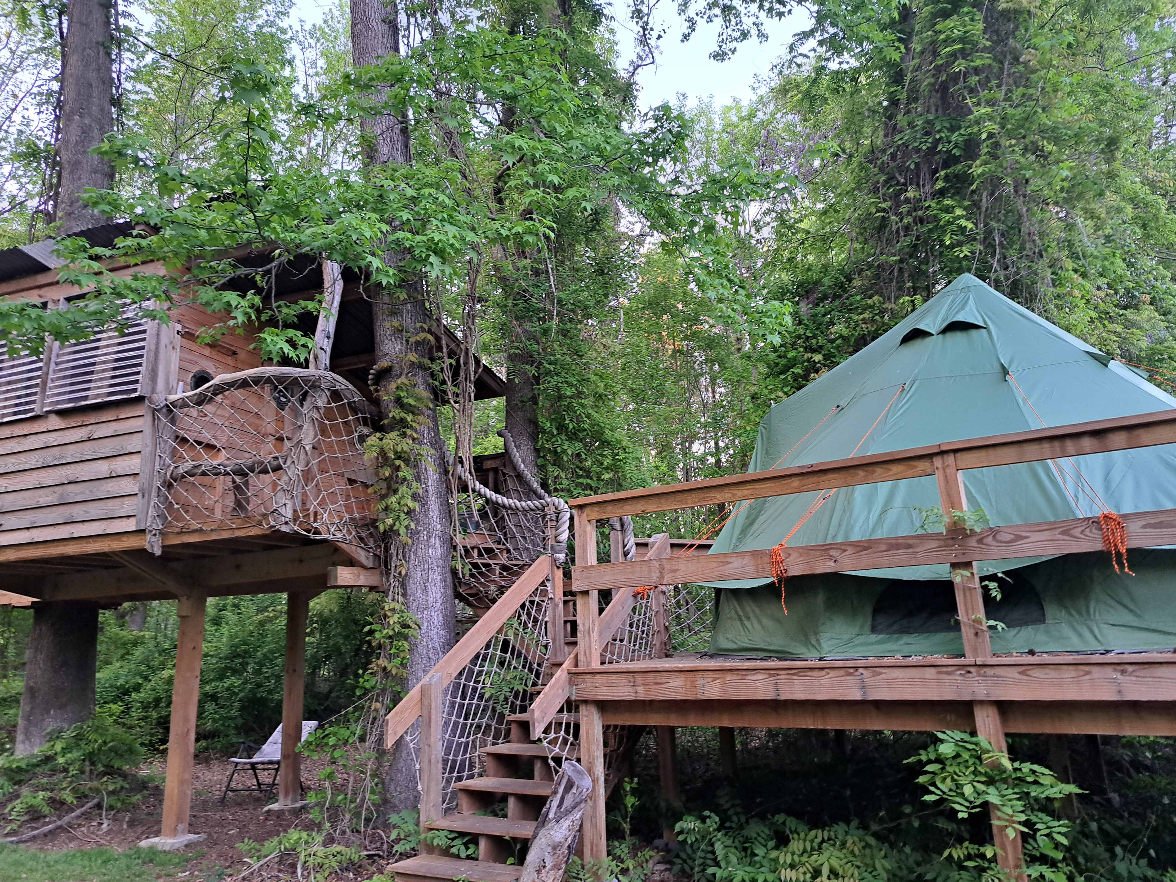 The Guinea Farm, Field, and Forest