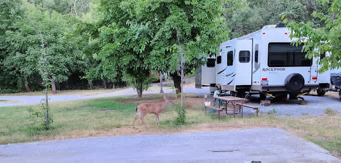 Fawndale Oaks RV Park