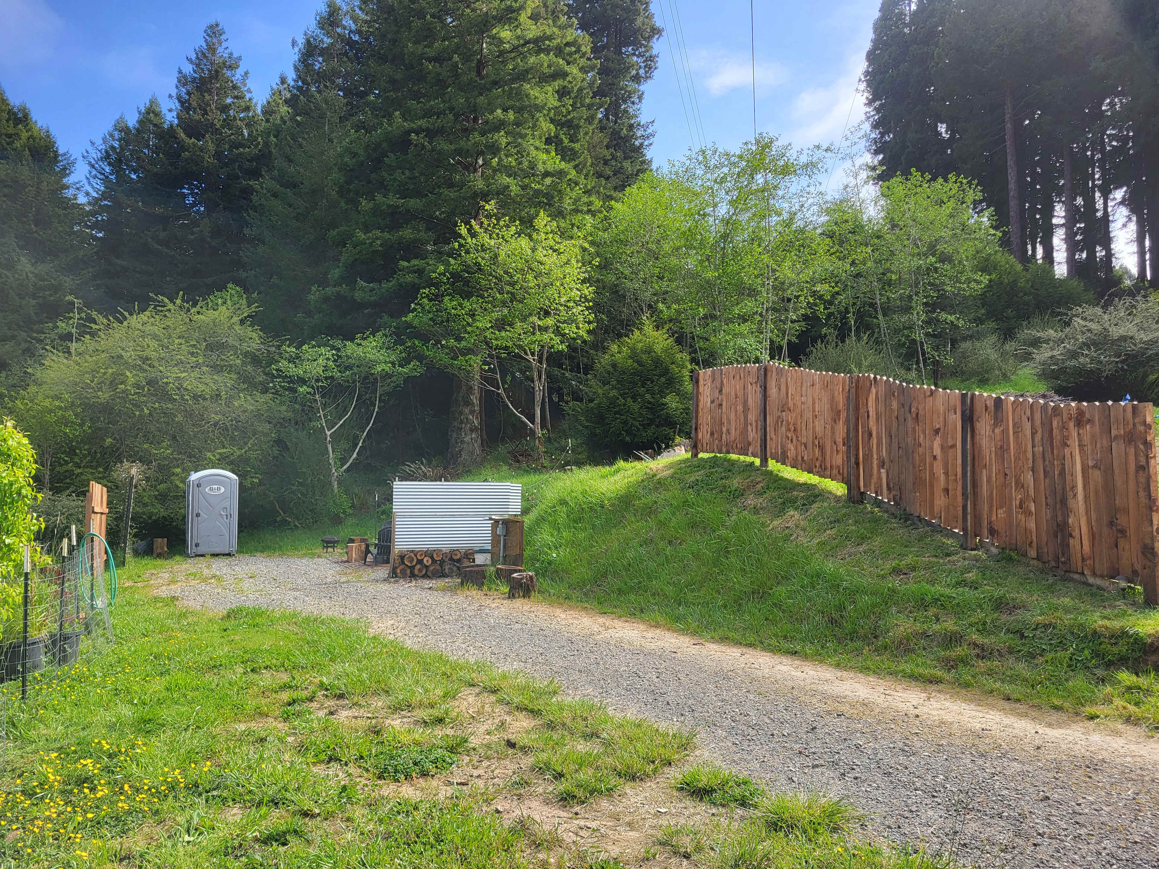 Redwoods Rest Stop
