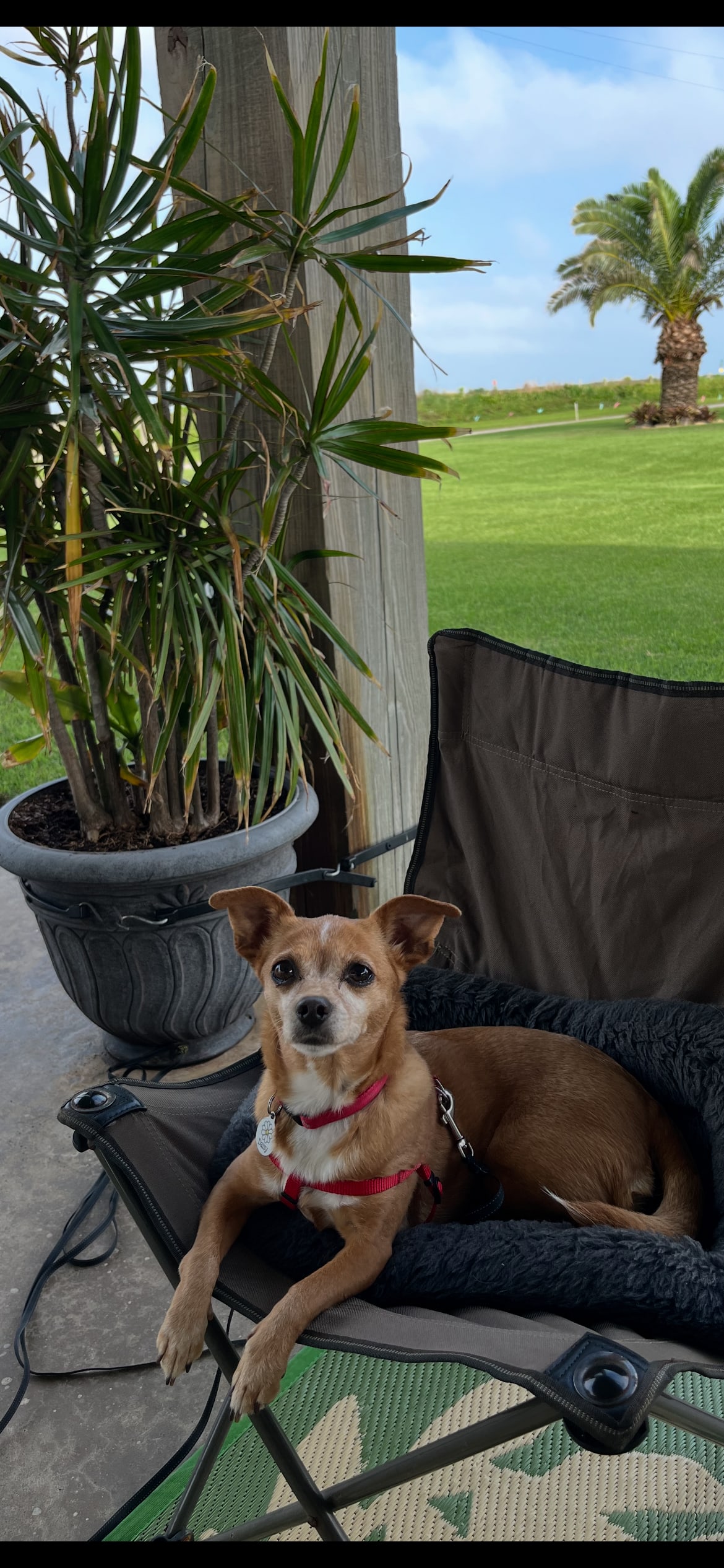 Daisy didn’t want to leave!
