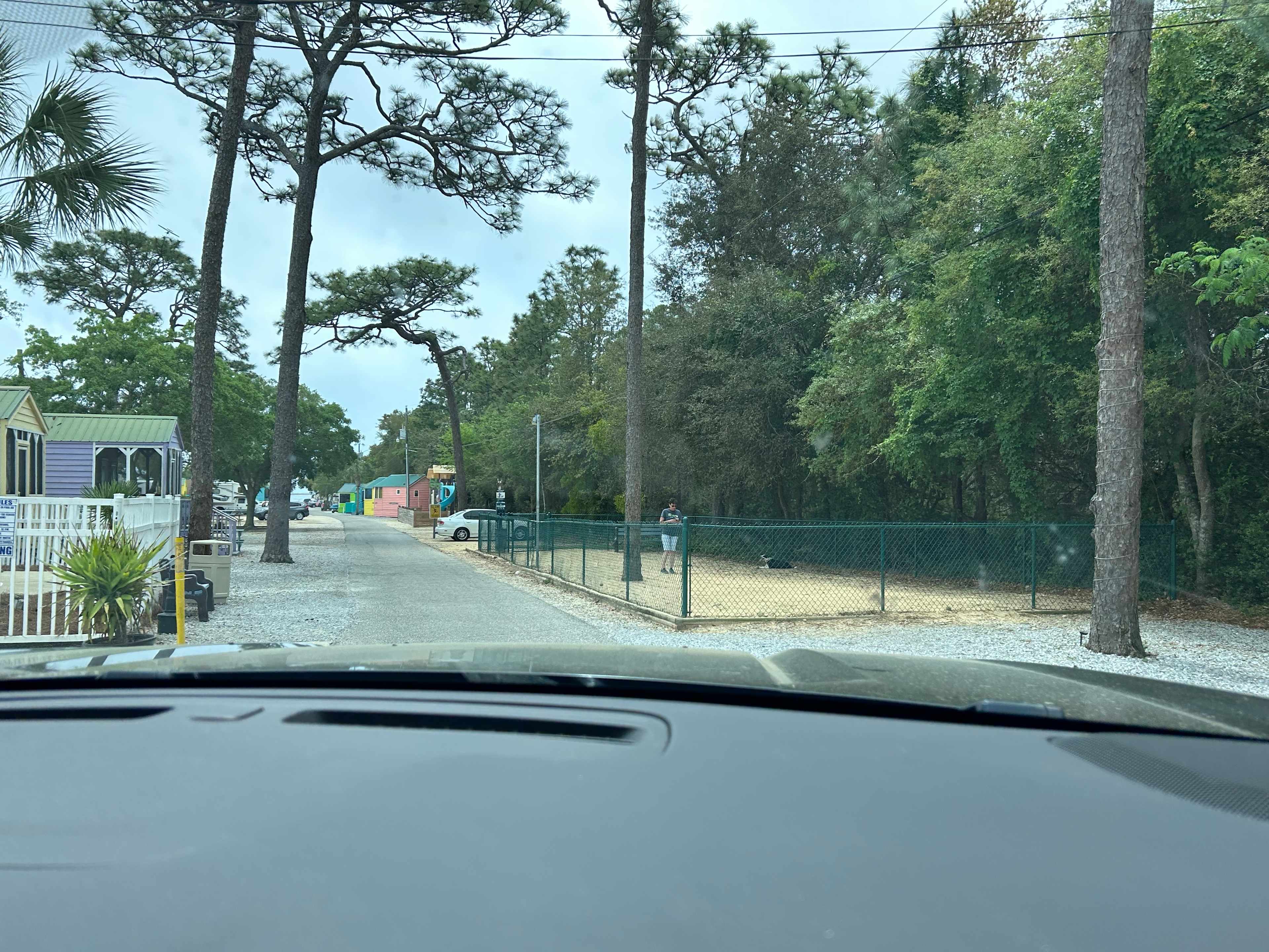 Picture of the site