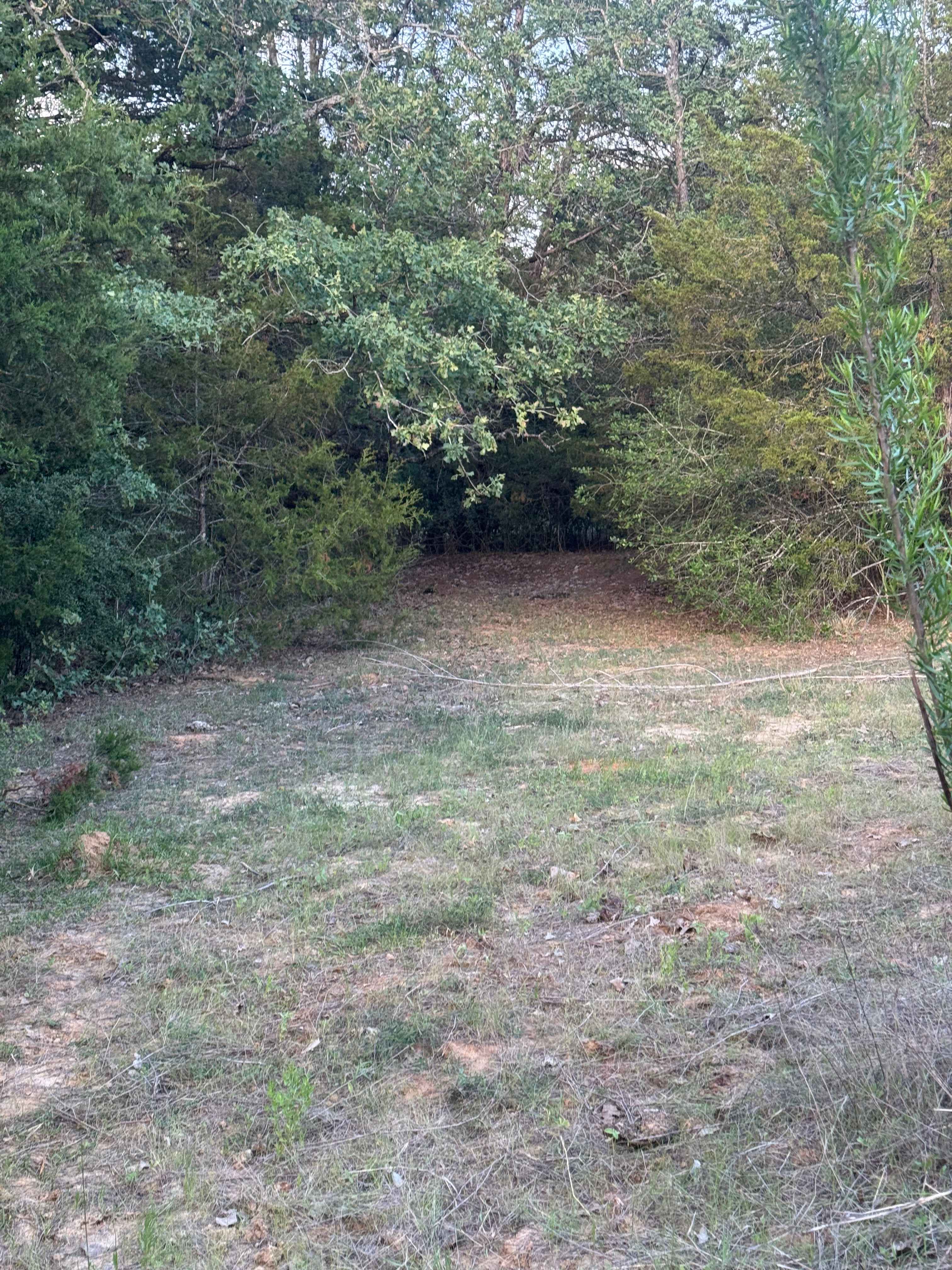 Alchemy Ranch