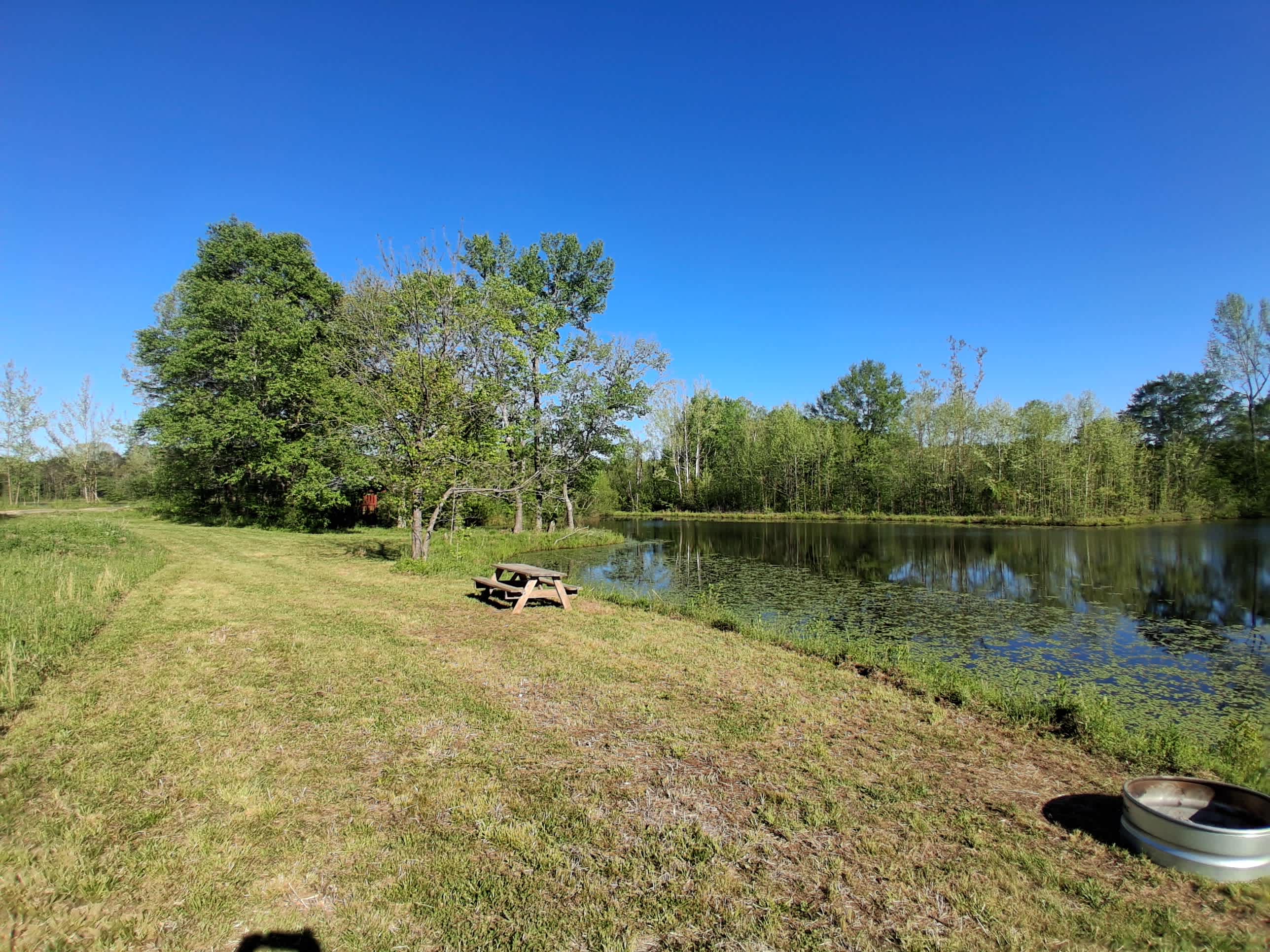 Picture of the site