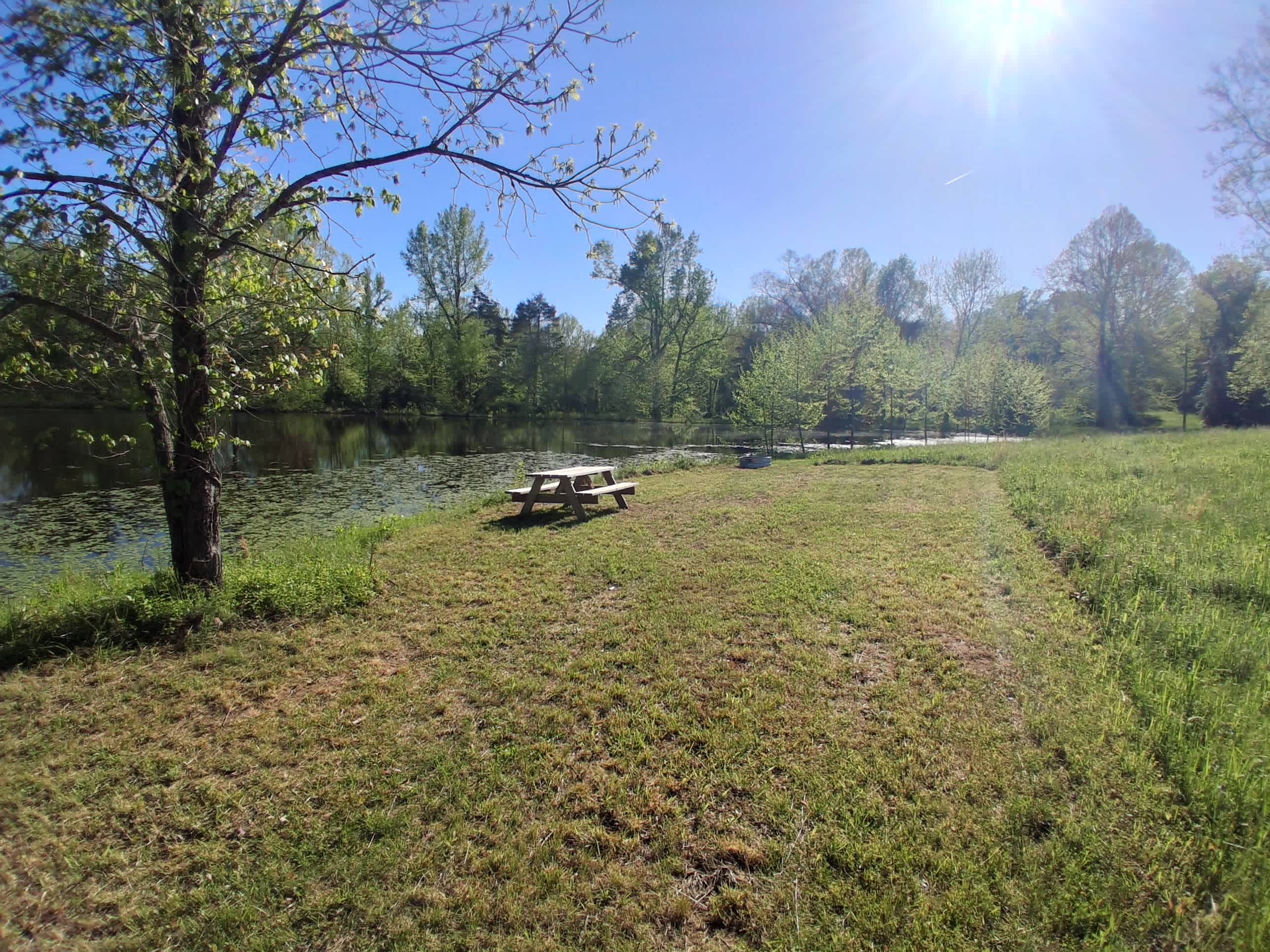 Picture of the site