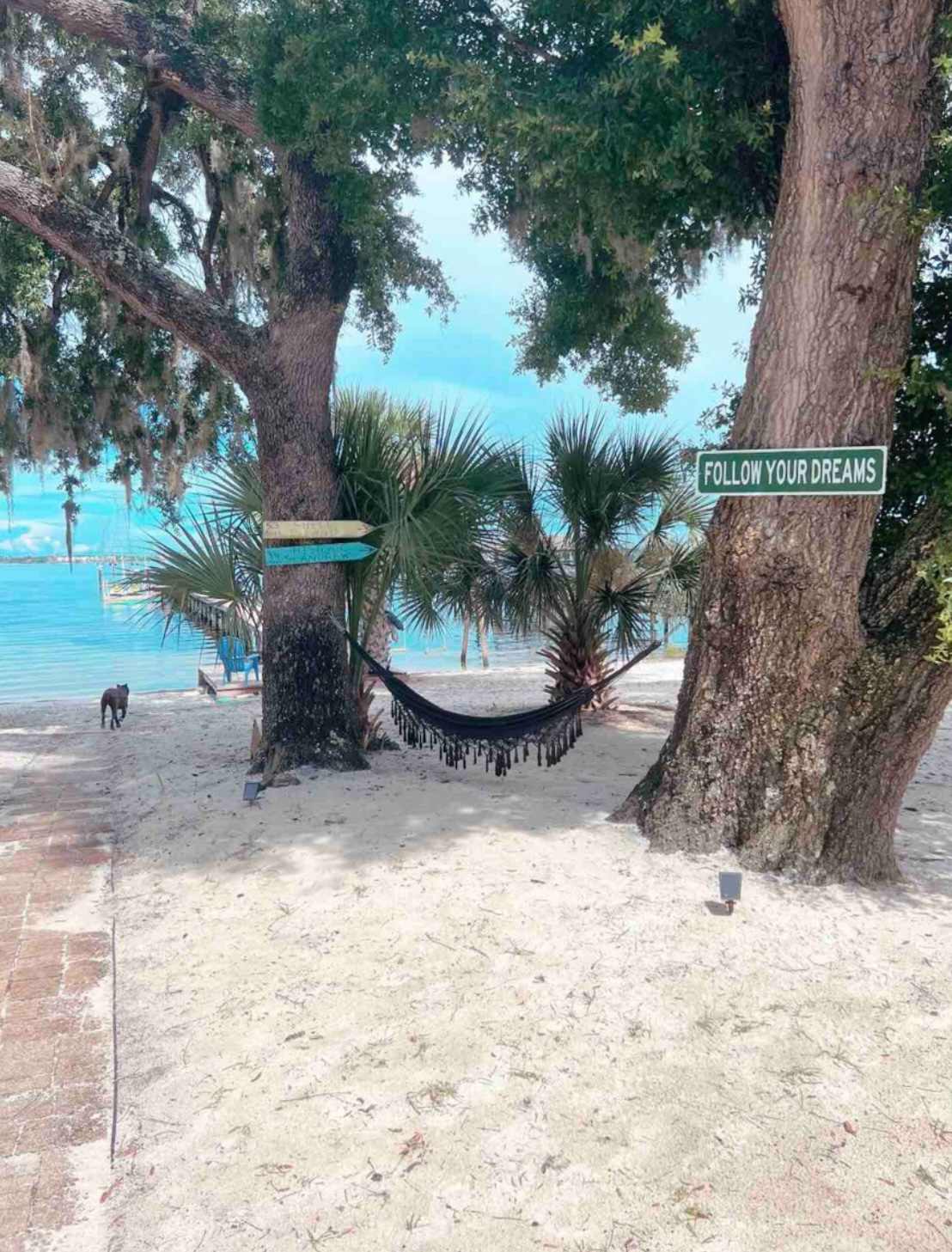 Dream Travels