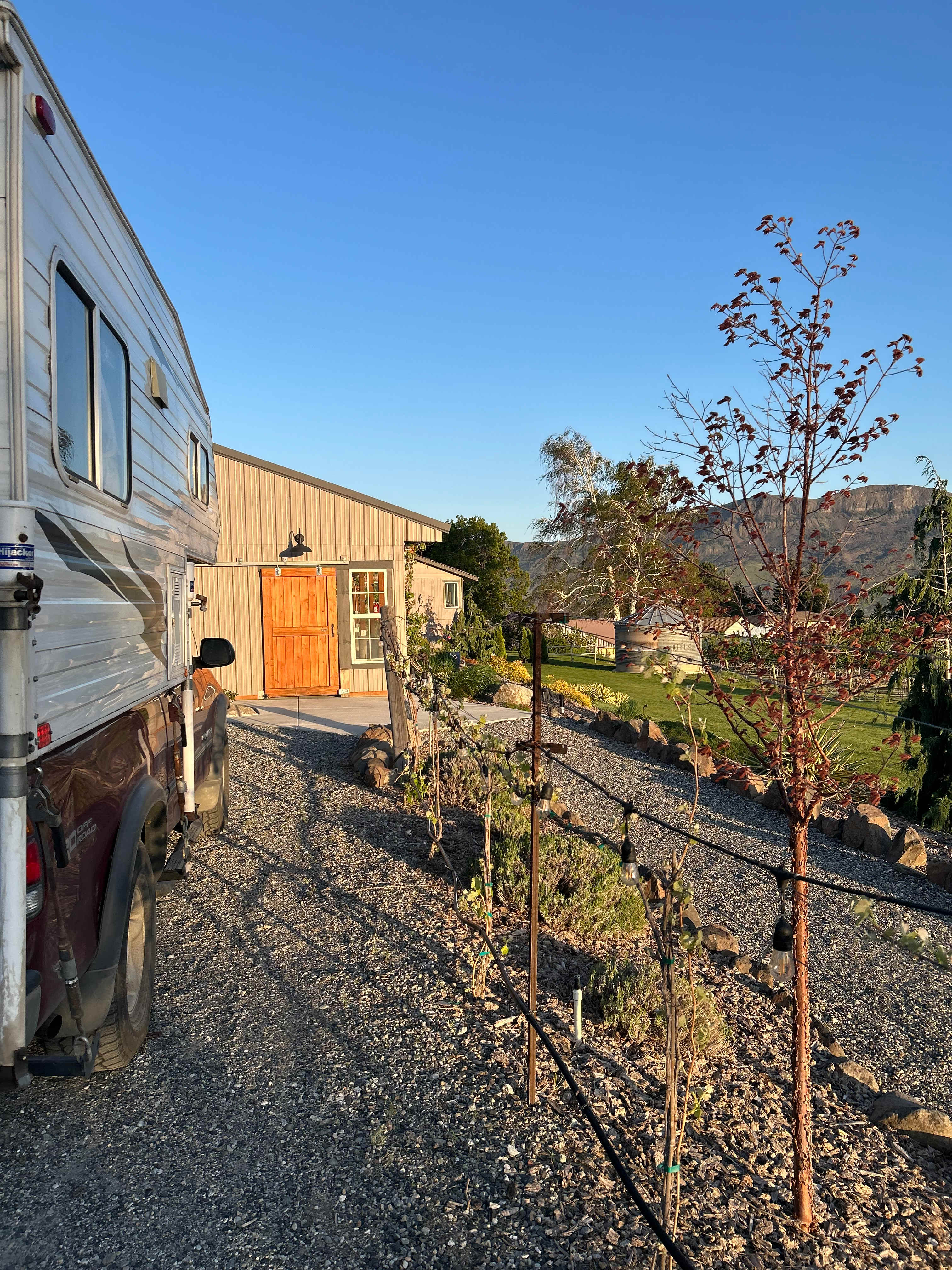 Bianchi Vineyards RV Site