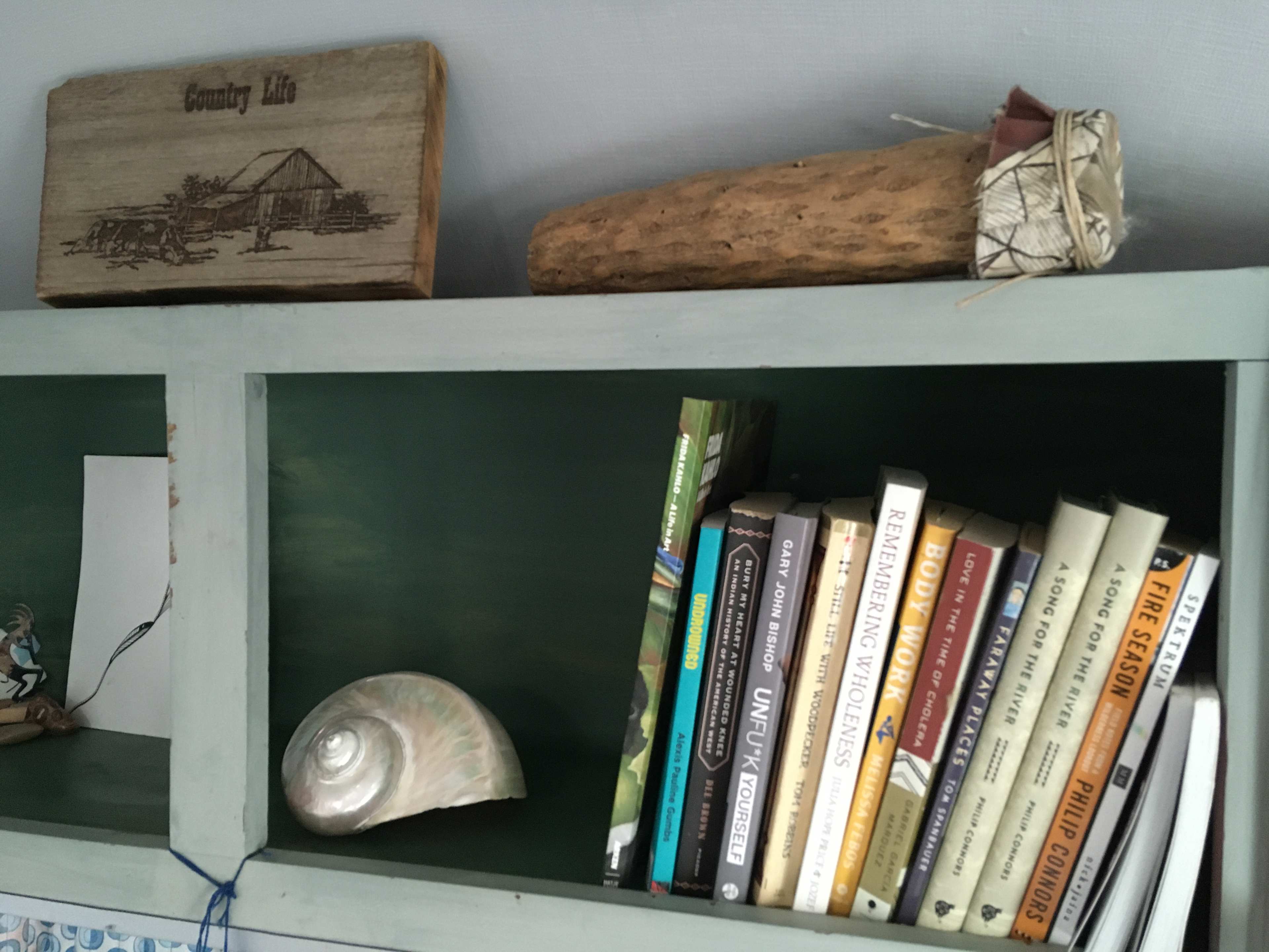 Lots of lofty books and books