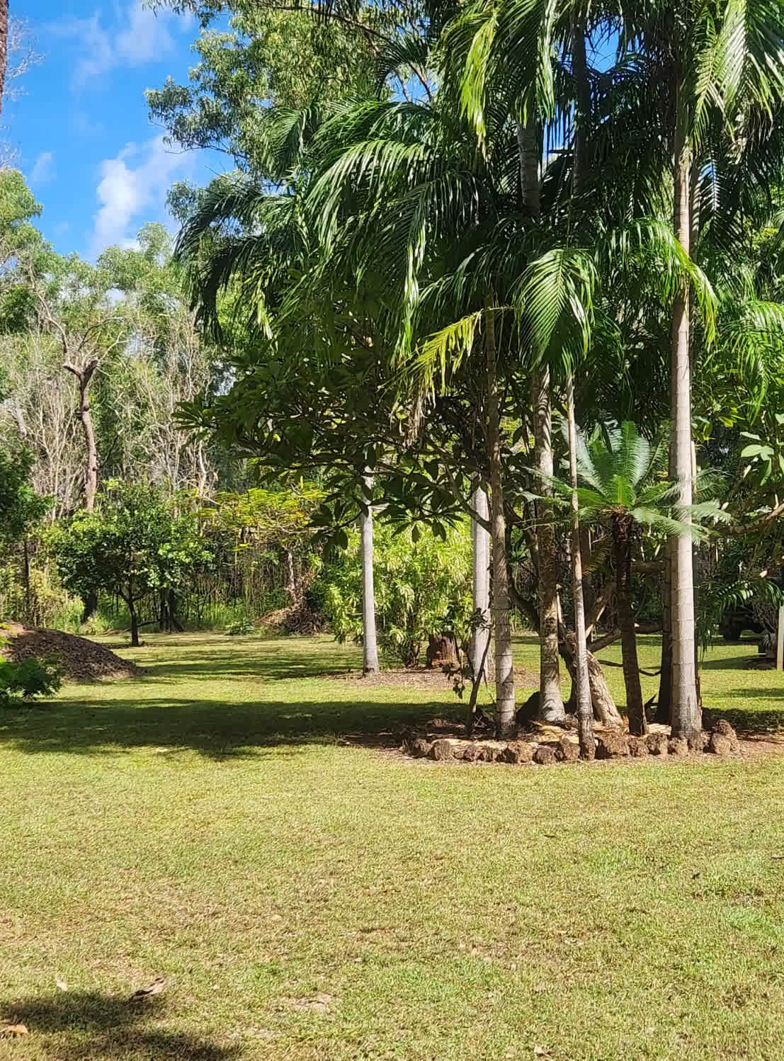 Curra Park