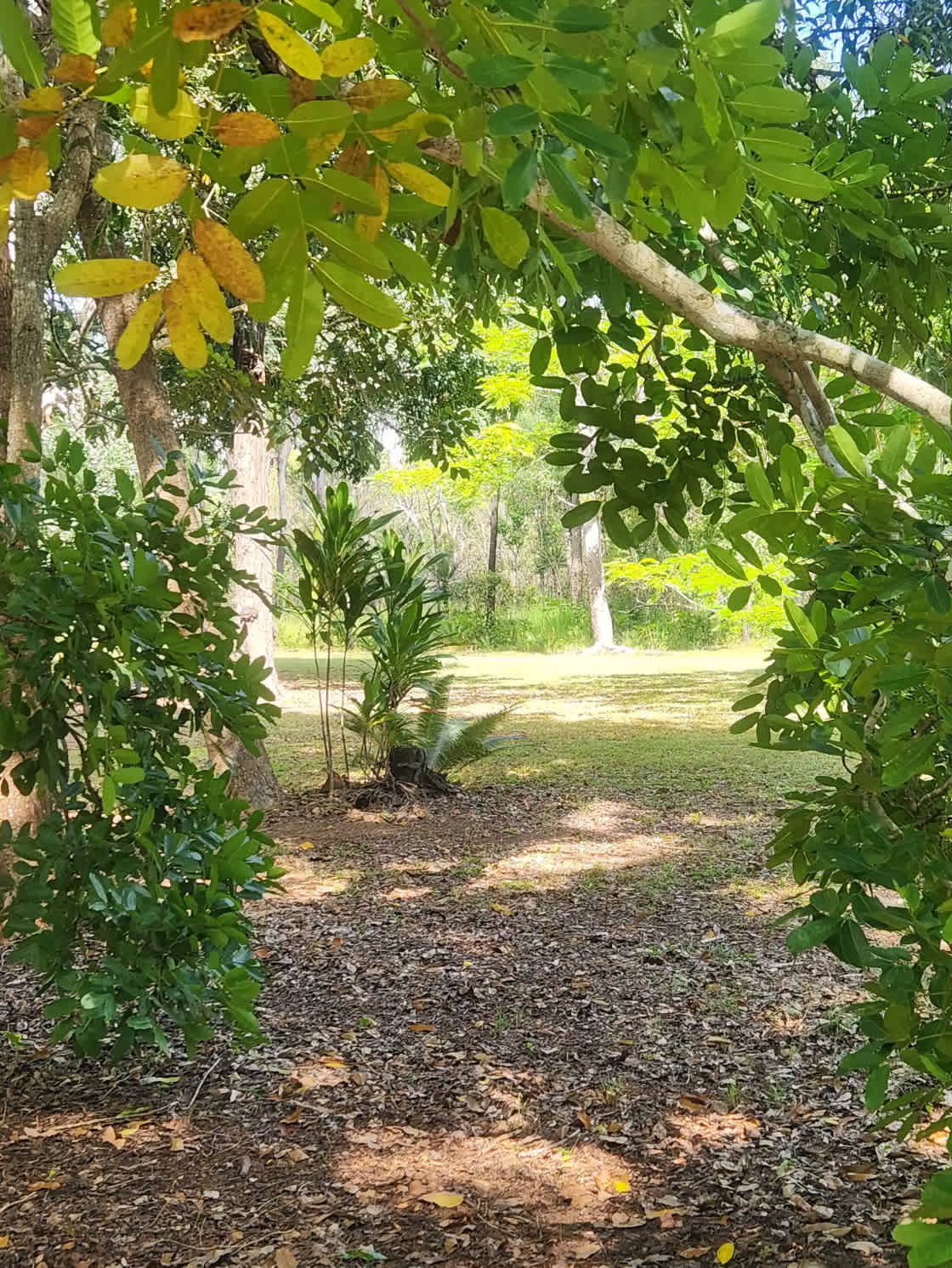 Curra Park