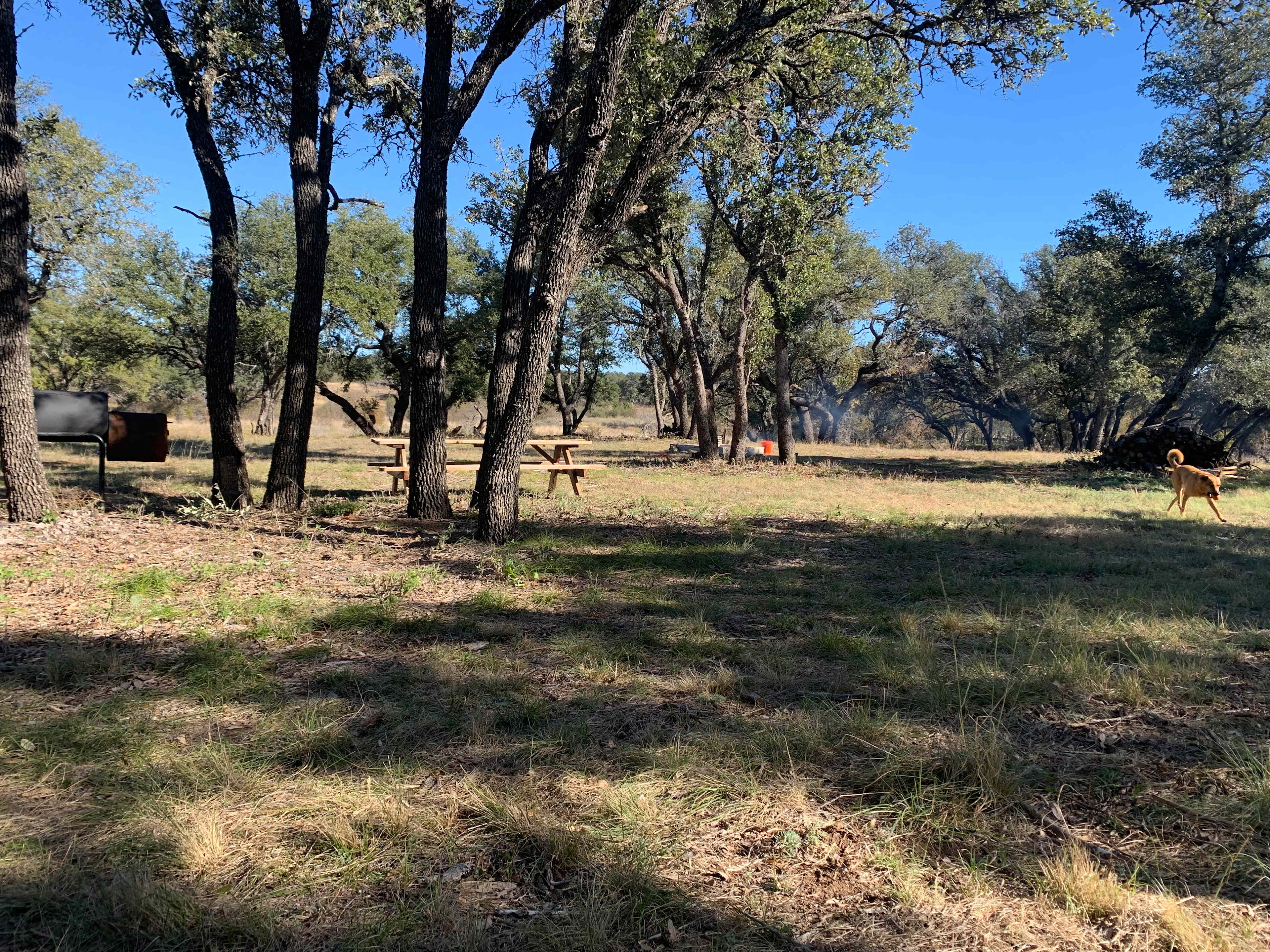 Waypoint Ranch