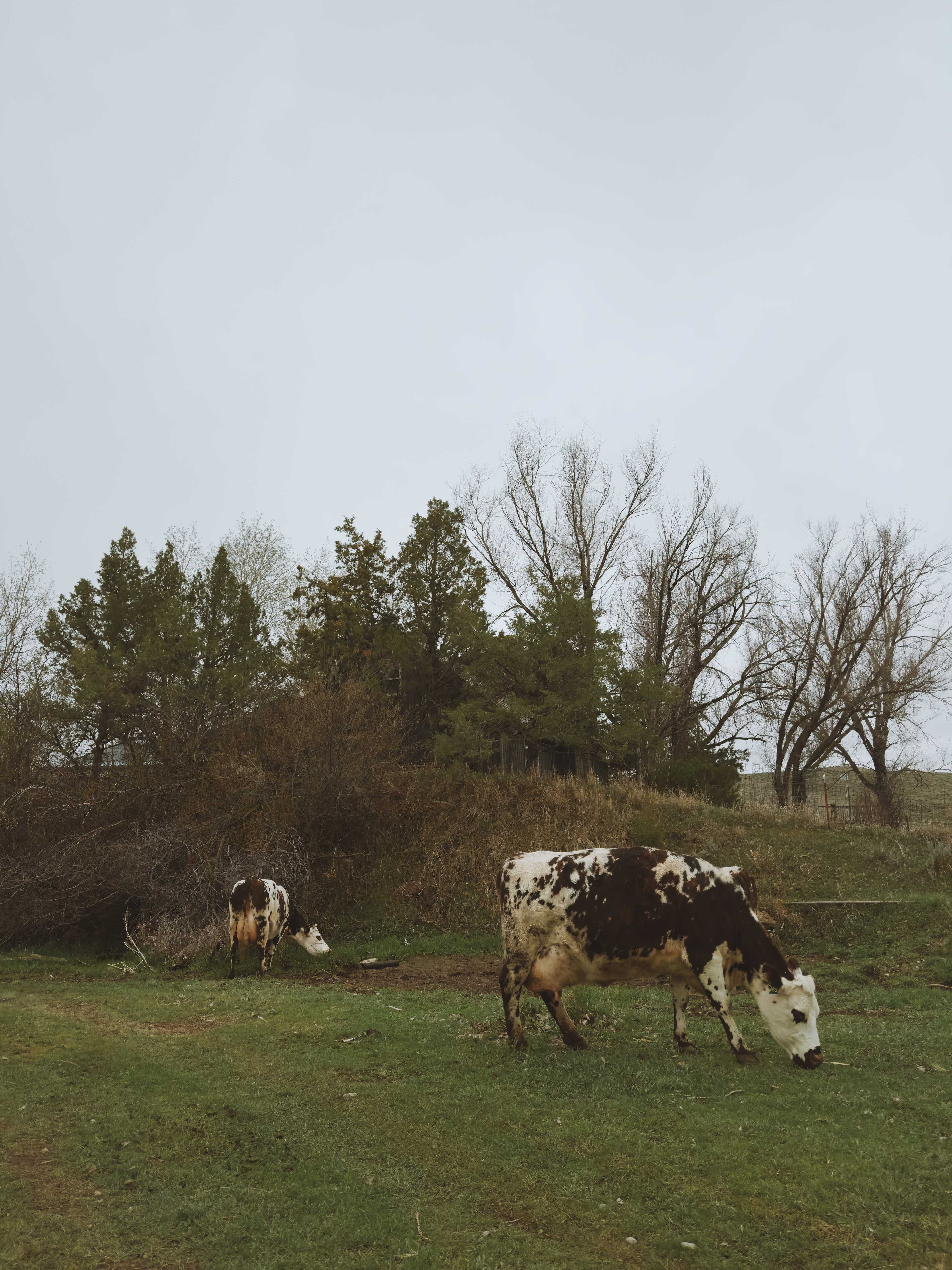 Cross E Ranch Camping