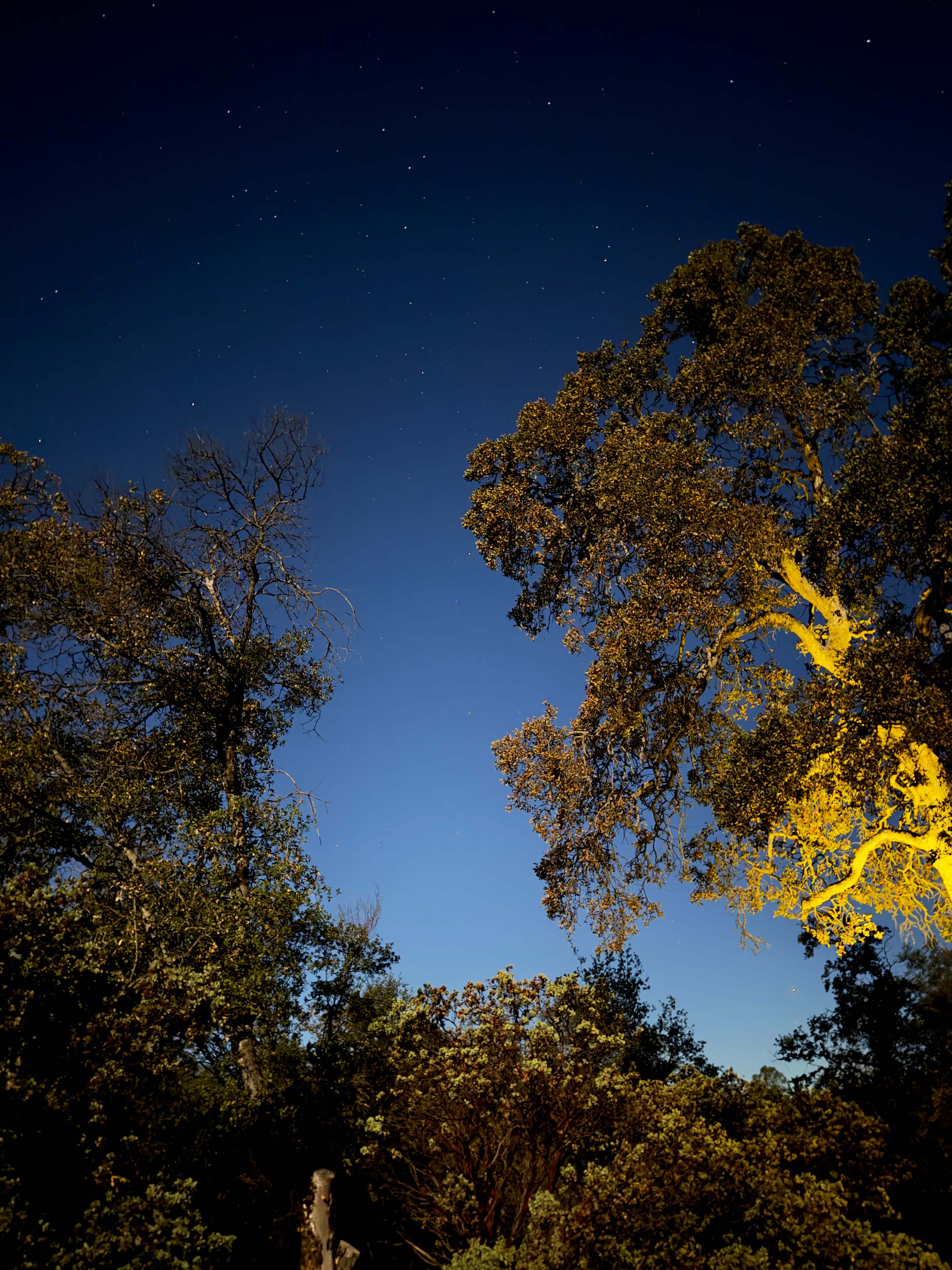 Stargazing