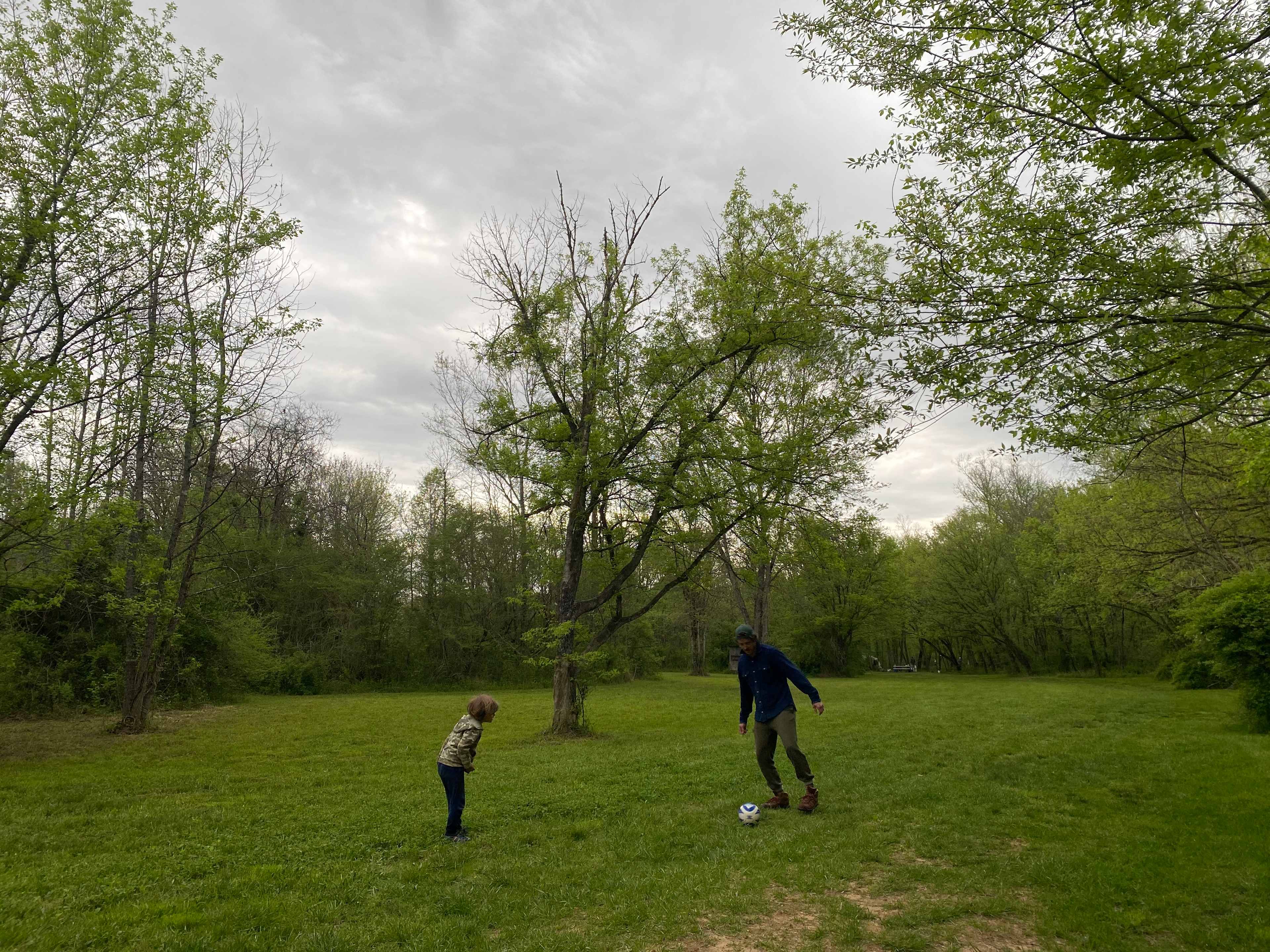 Open meadow for sports!