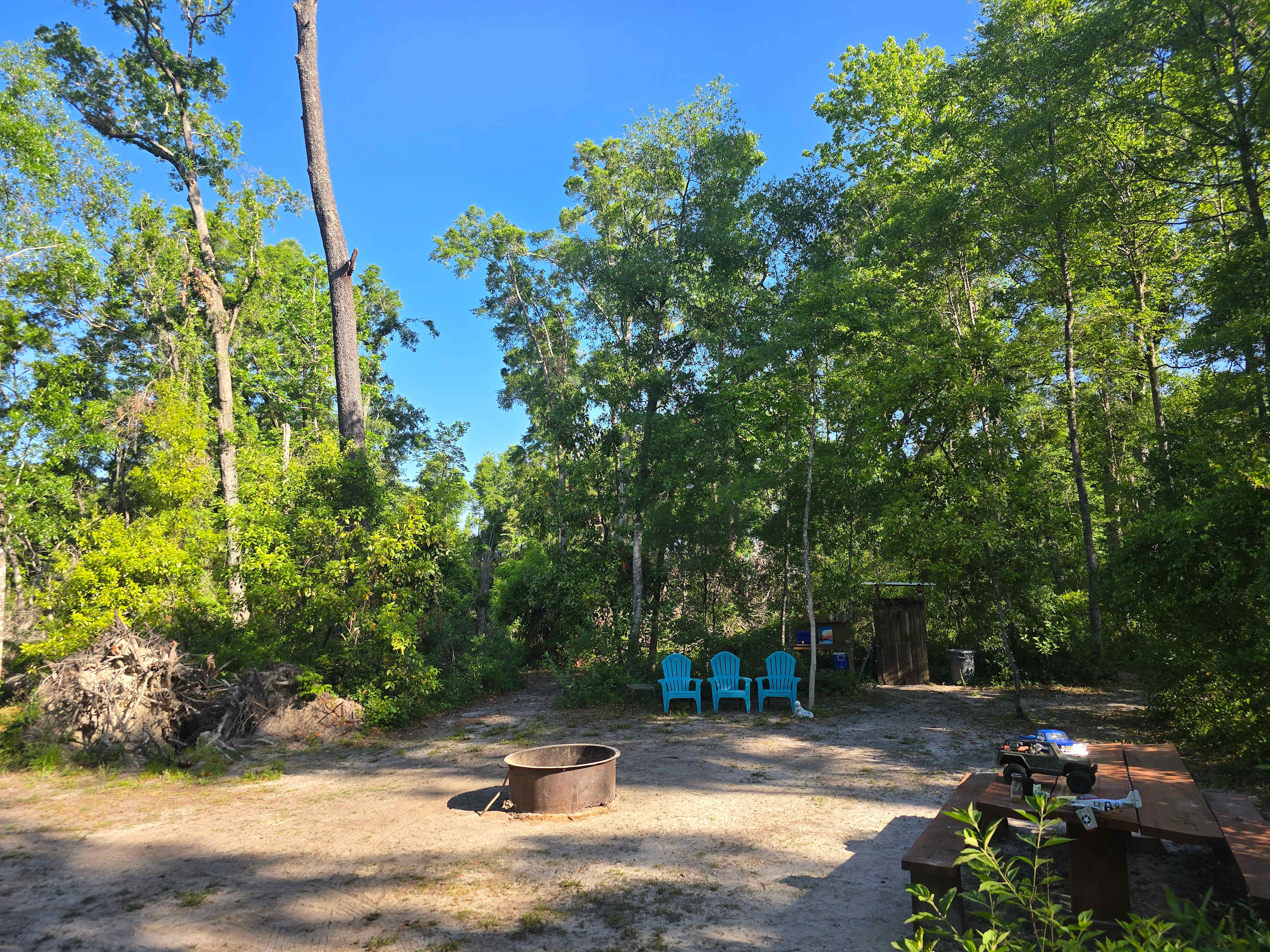 Secluded Wooded Campsite 🏕️