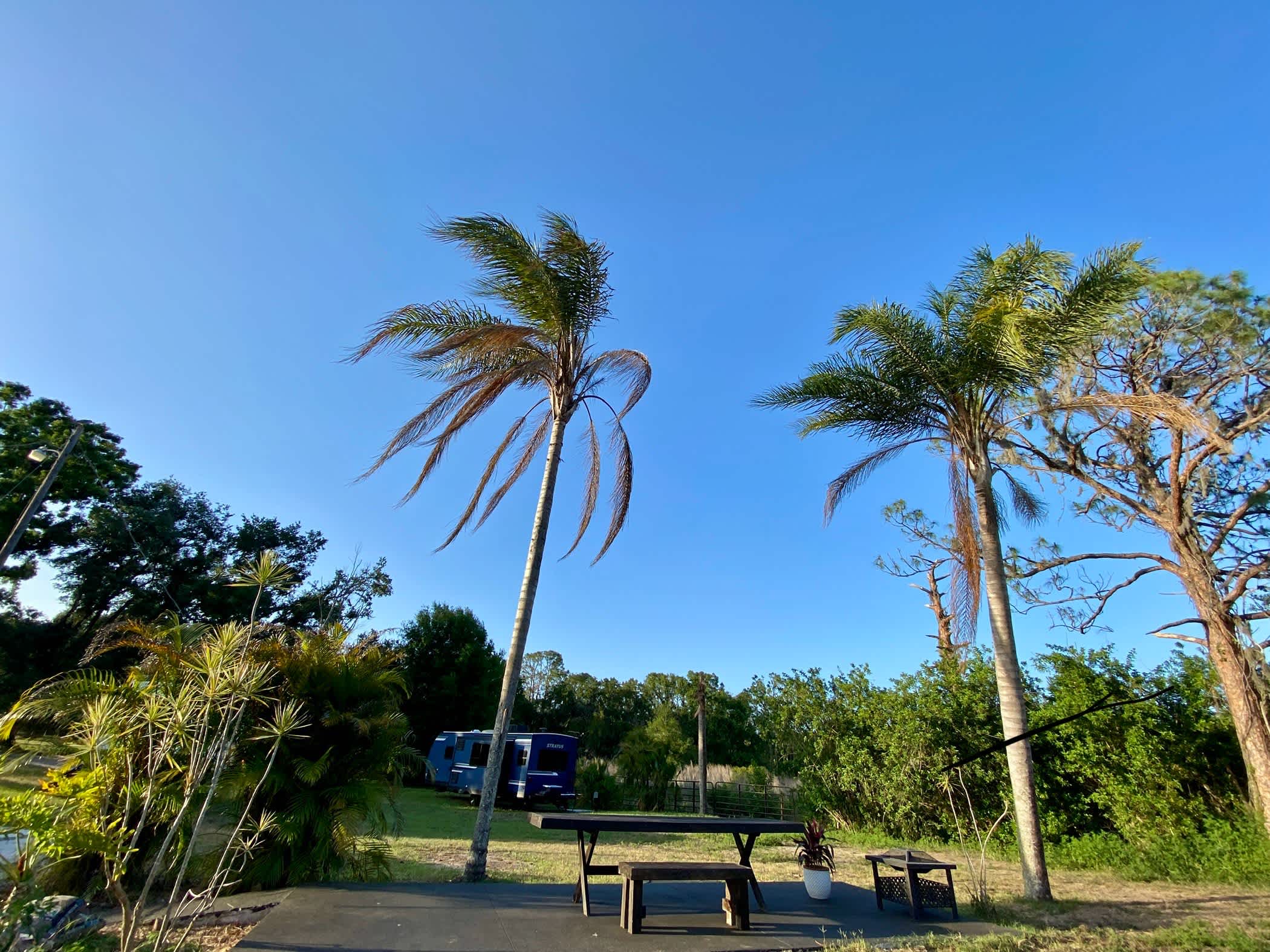 Your spacious campsite includes this large cement patio, picnic table, and fire pit (you can also back in your camper next to the patio if you have an extension cord --the power pole is close to the blue camper you see in the photo).