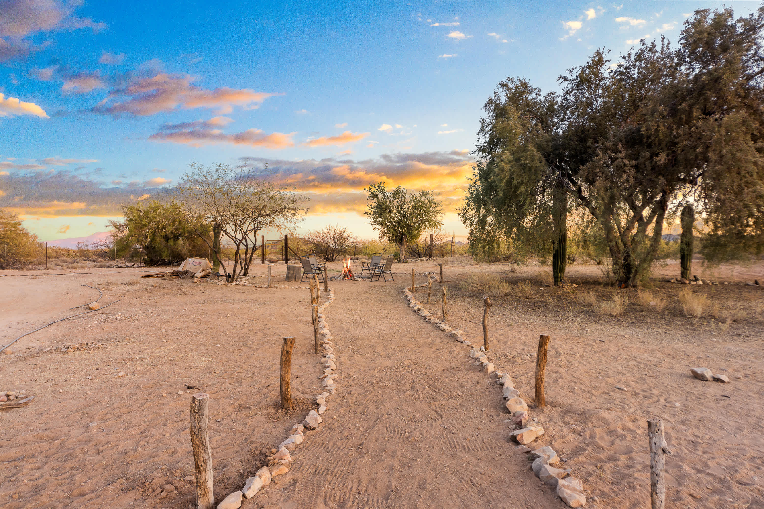 SaguaroGlamp