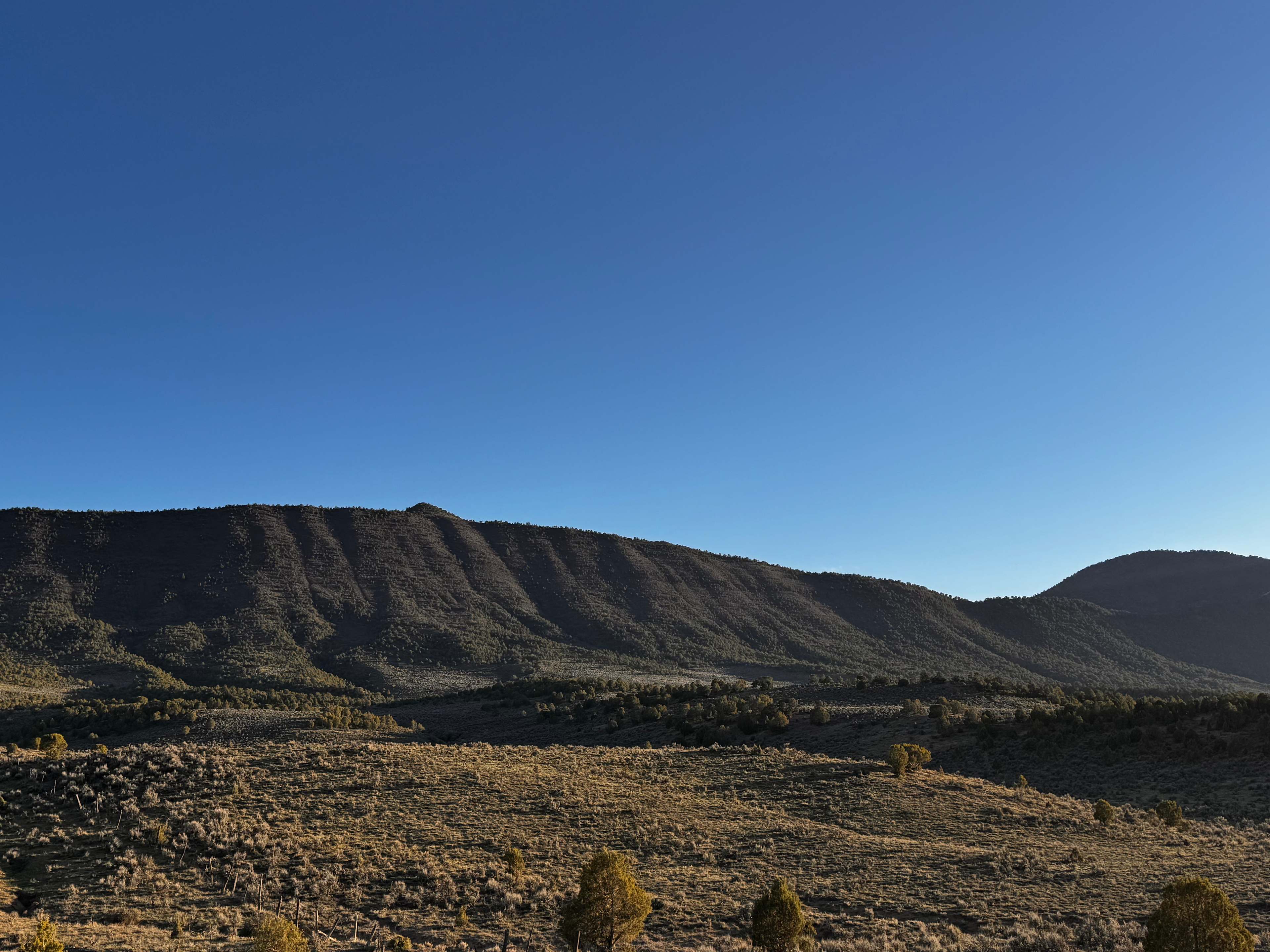 3 Pond Ranch