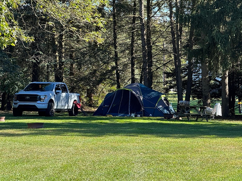 Buttercup Woodlands Campground