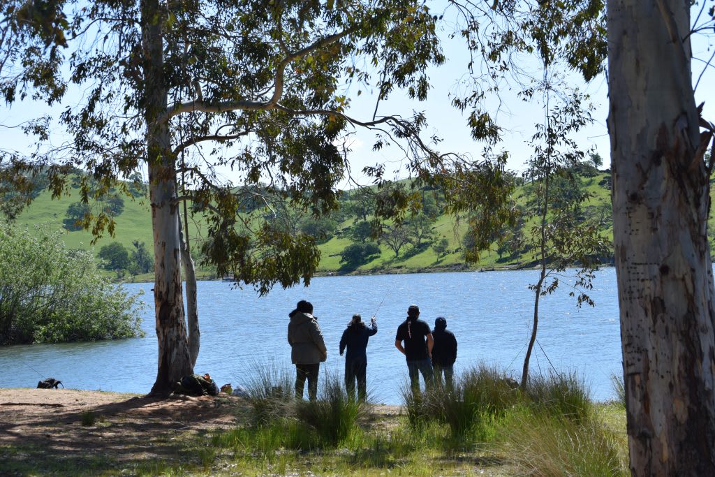 Lake McSwain Recreational Area
