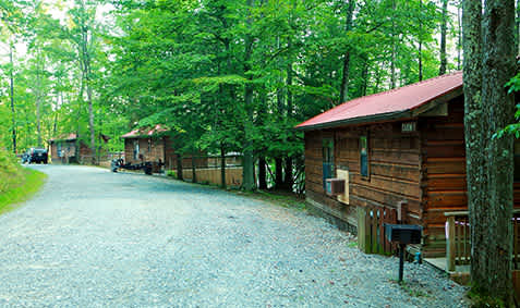 Mountain Lake Campground and Cabins