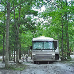 Atlantic Shore Pines Campground- Jersey Shore Camping at its finest!