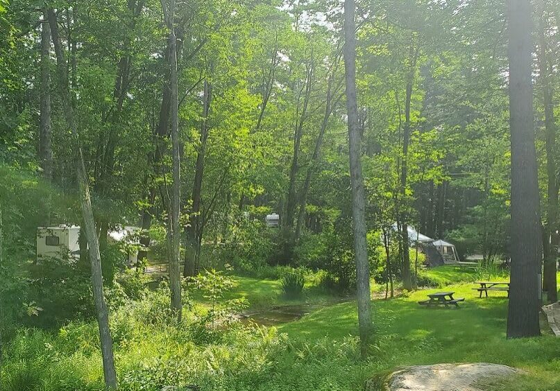 Calef Lake Campground
