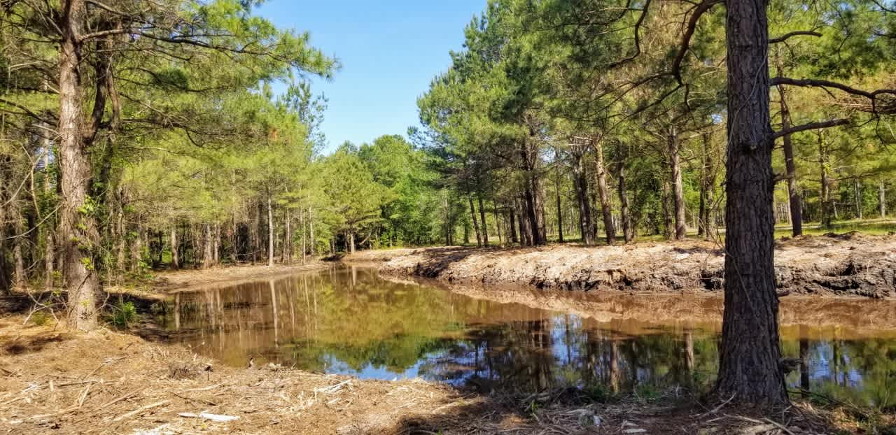 Sandy Ridge Campground & RV Resort