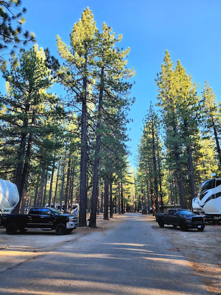 Tahoe Valley Campground