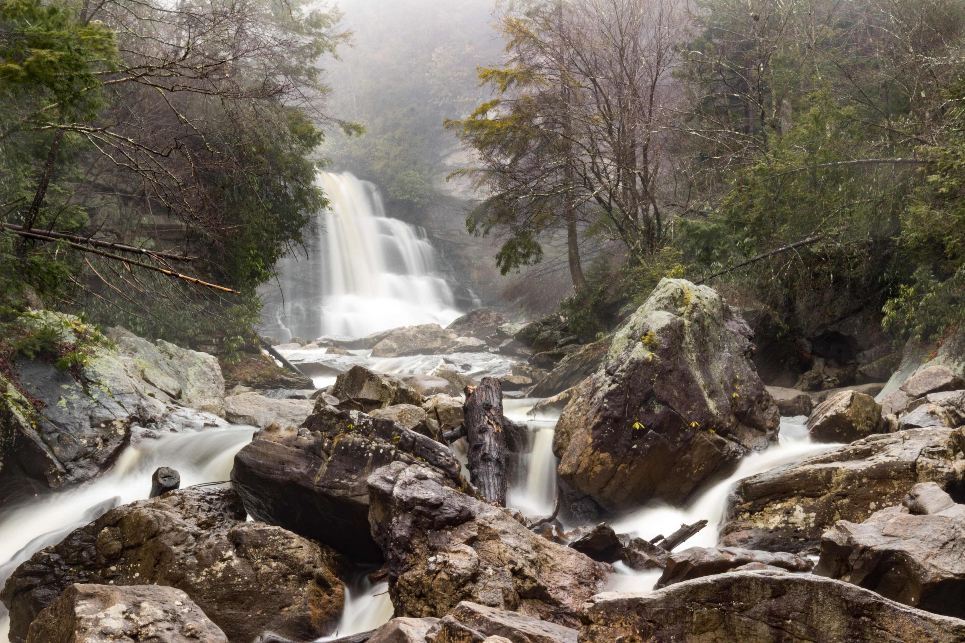 Blackwater Falls Campground