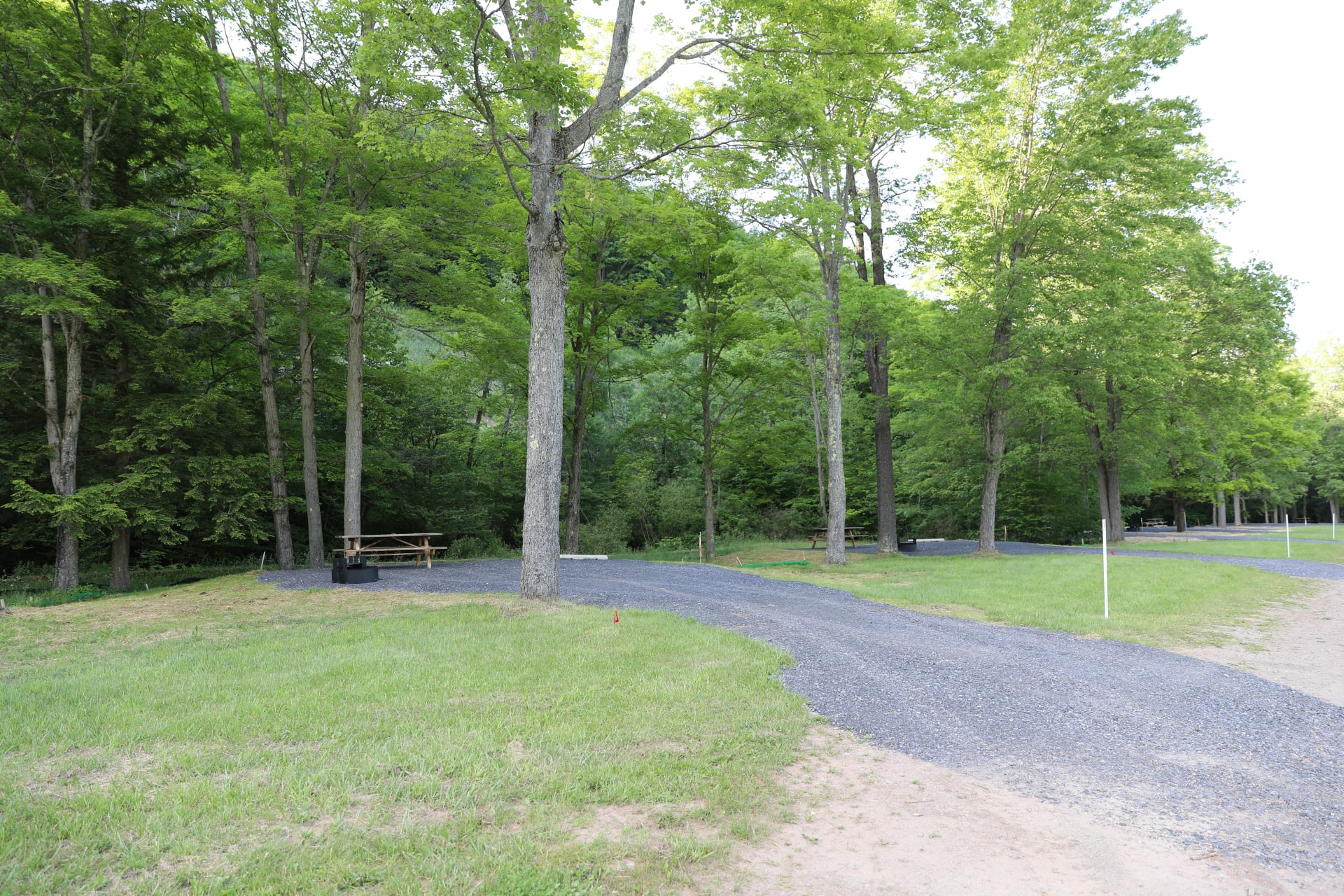 Denton Go @ Denton Hill State Park
