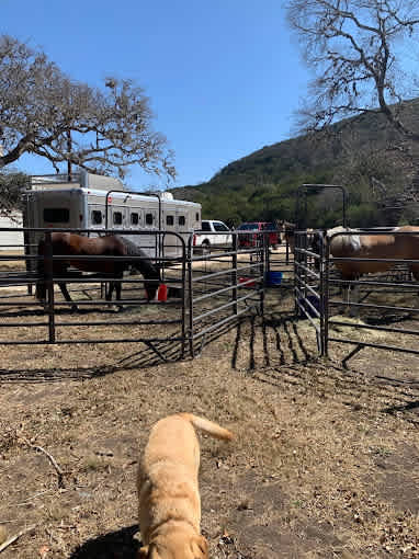 H.W. Lewis Ranch Campground