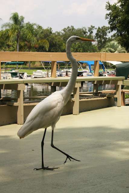 Highbanks Marina and Camp Resort