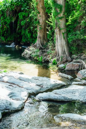 Krause Springs