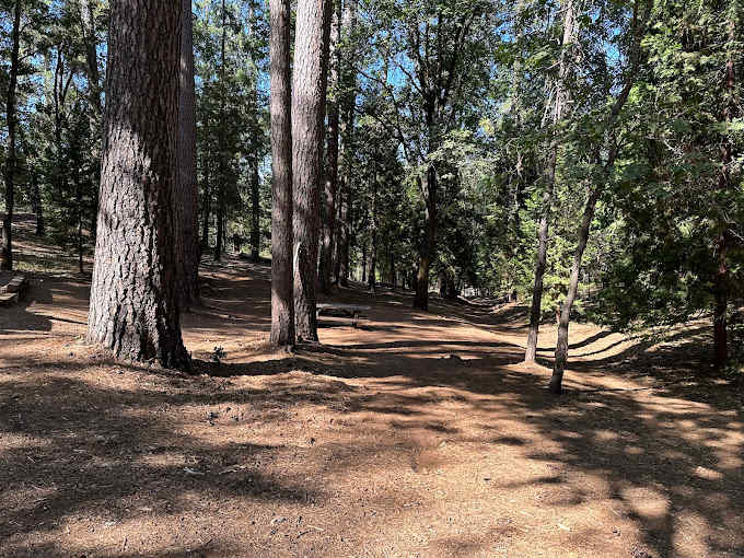 Long Ravine Campground