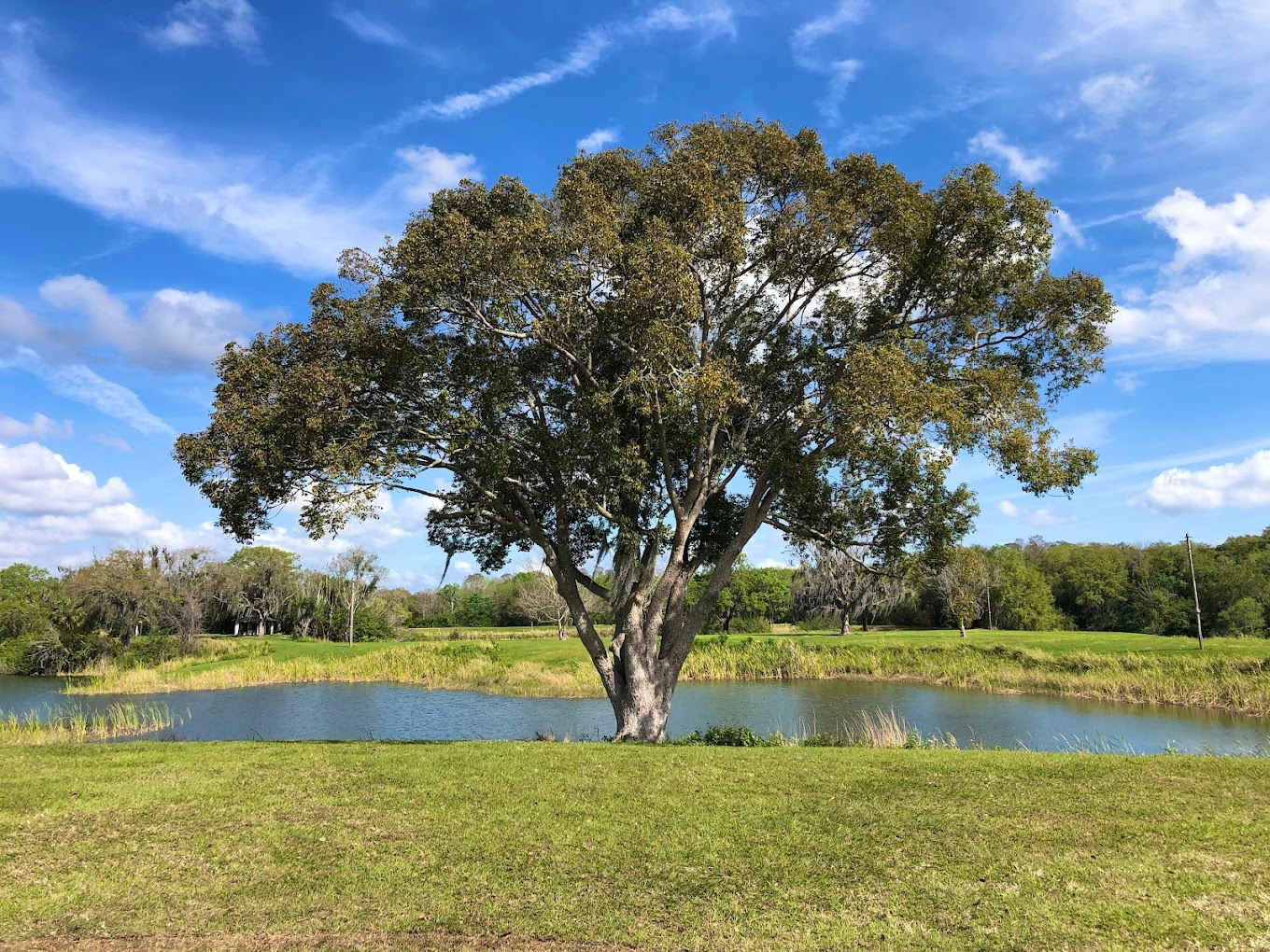 Saddle Creek Campground